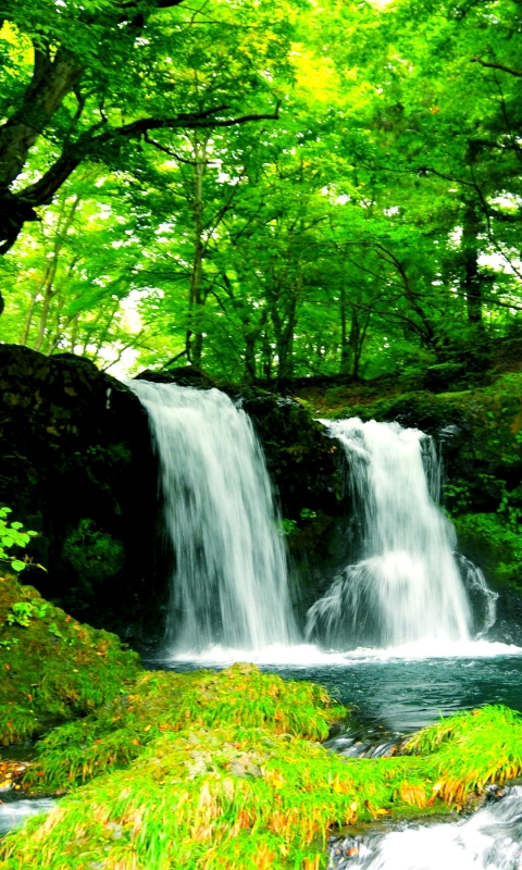 Handy-Wallpaper Wasserfälle, Wasserfall, Wald, Baum, Teich, Erde/natur kostenlos herunterladen.