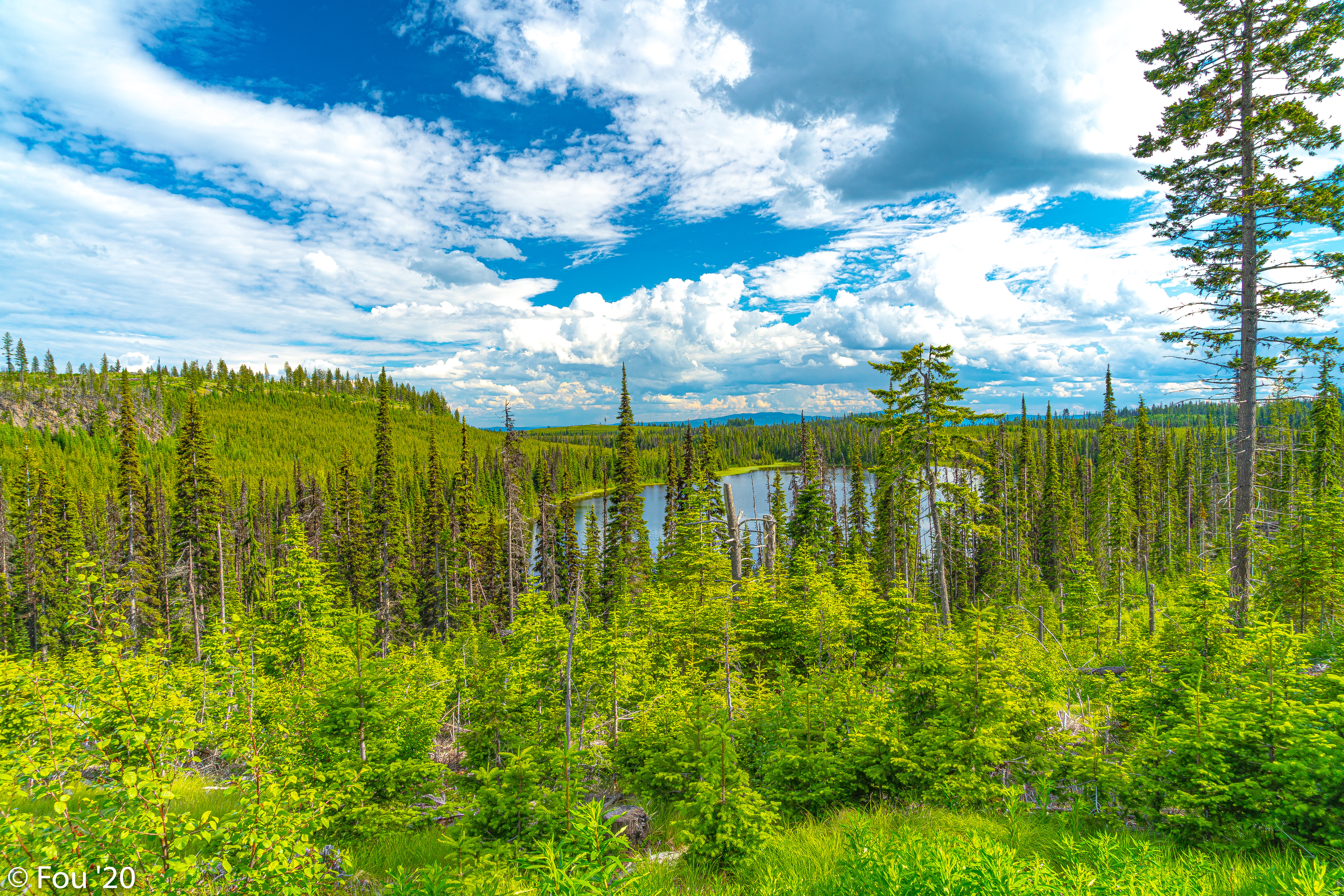 Free download wallpaper Trees, Sky, Lake, Forest, Fir, Spruce, Nature on your PC desktop