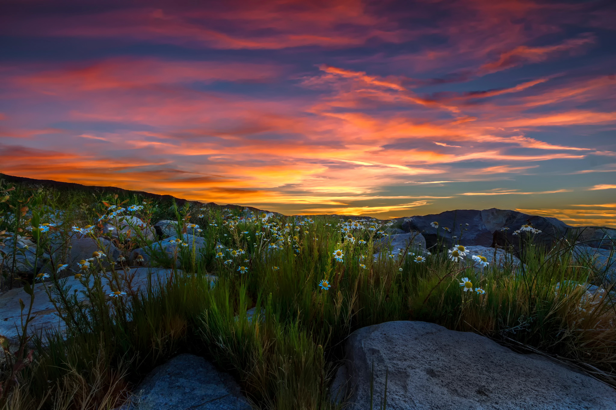 Laden Sie das Landschaft, Erde/natur-Bild kostenlos auf Ihren PC-Desktop herunter