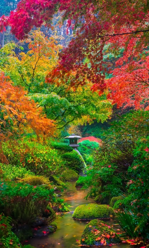 無料モバイル壁紙自然, 木, 秋, 公園, カラフル, マンメイド, 日本庭園をダウンロードします。
