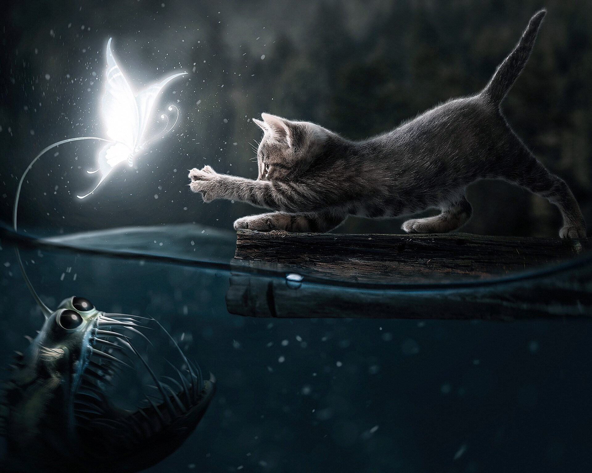 Download mobile wallpaper Water, Fantasy, Cat, Butterfly, Creature, Creepy, Fantasy Animals for free.
