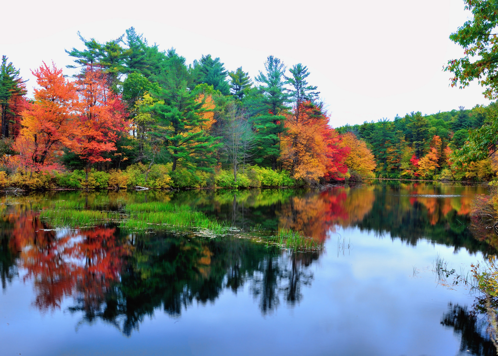 Free download wallpaper Lake, Forest, Tree, Earth, Colors, River on your PC desktop