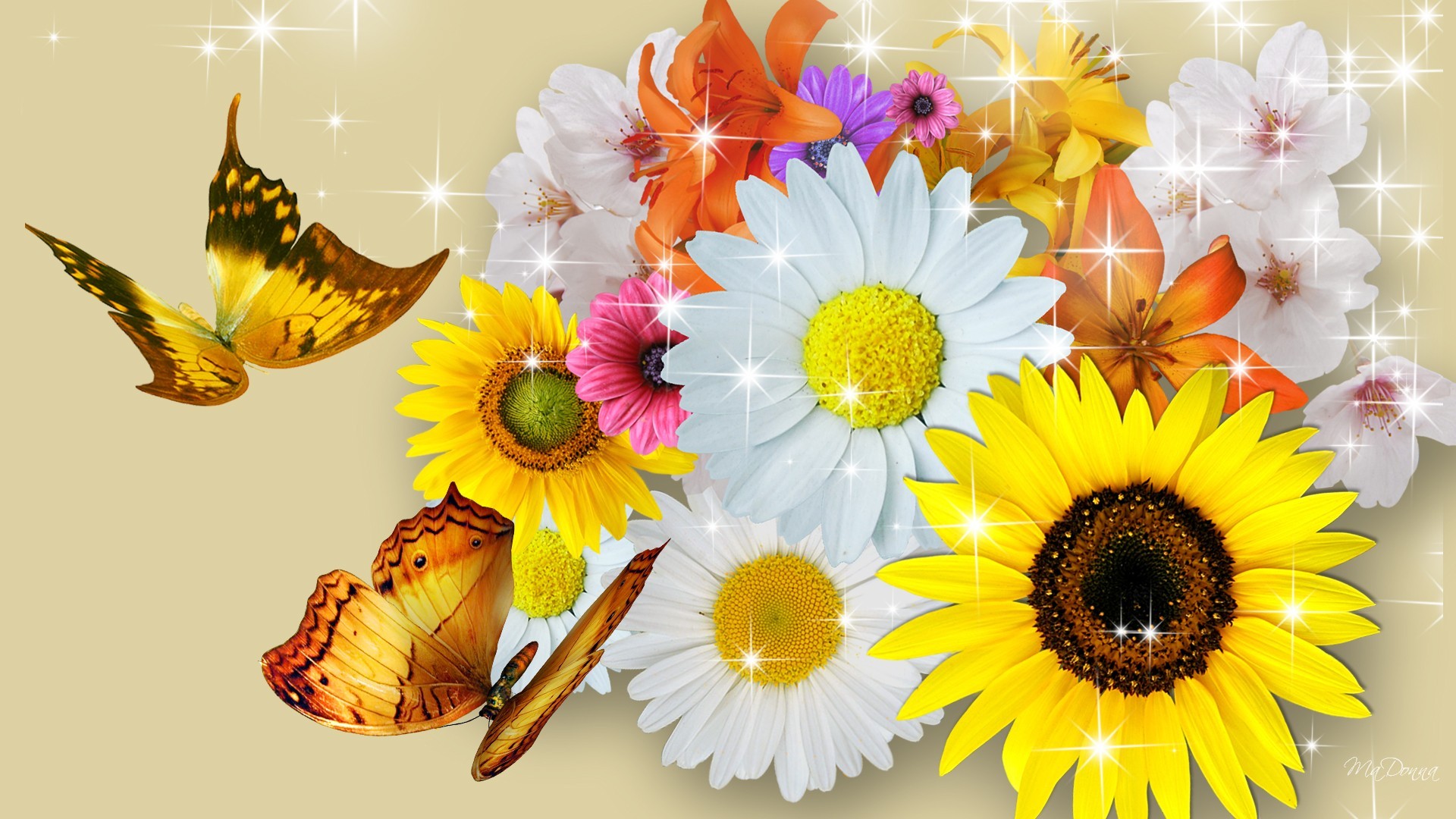 Handy-Wallpaper Schmetterlinge, Blumen, Blume, Hell, Bunt, Gelbe Blume, Weiße Blume, Künstlerisch, Funkelt, Orangene Blume kostenlos herunterladen.