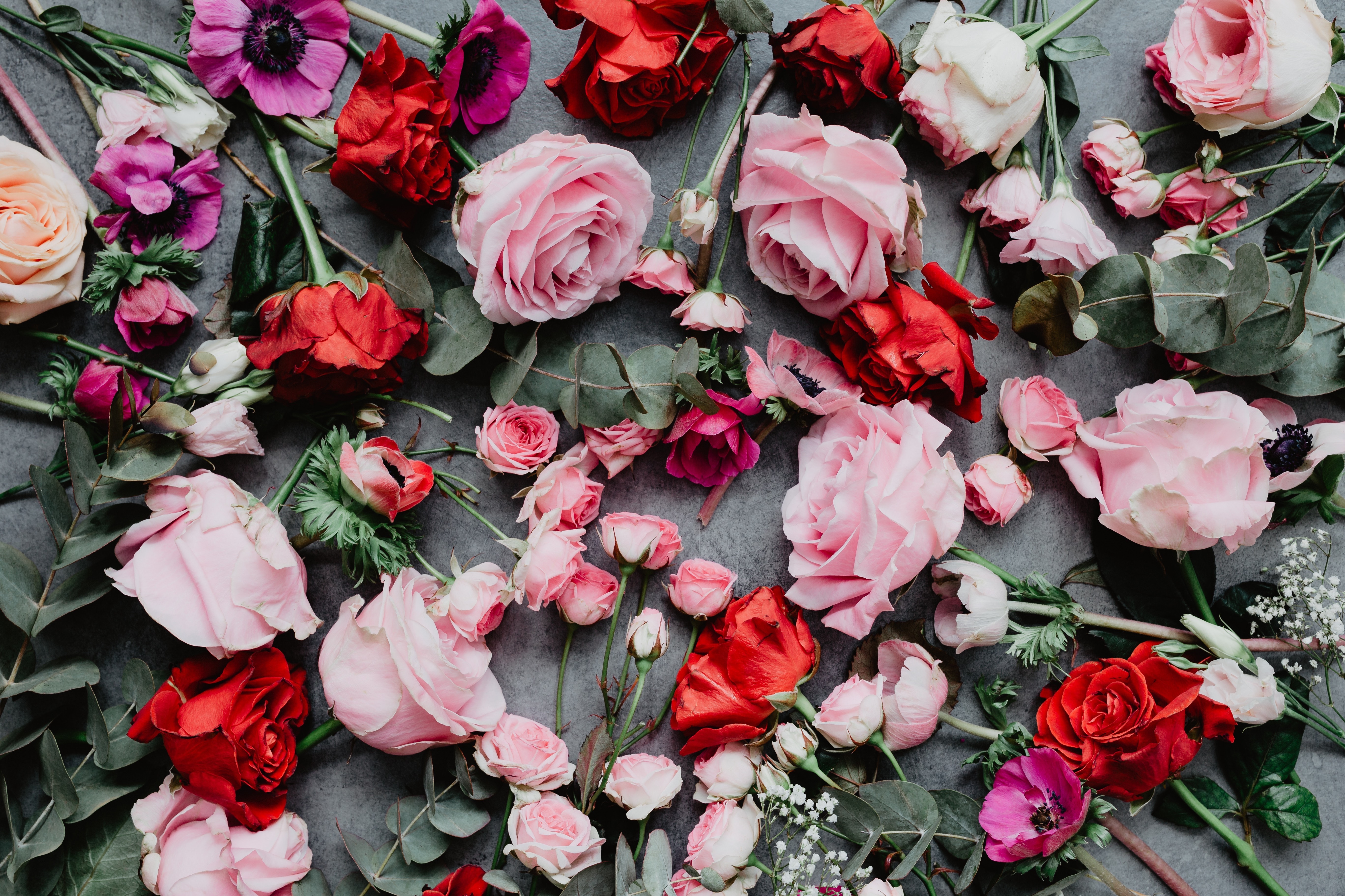 Téléchargez gratuitement l'image Roses, Composition, Rose, Fleurs sur le bureau de votre PC