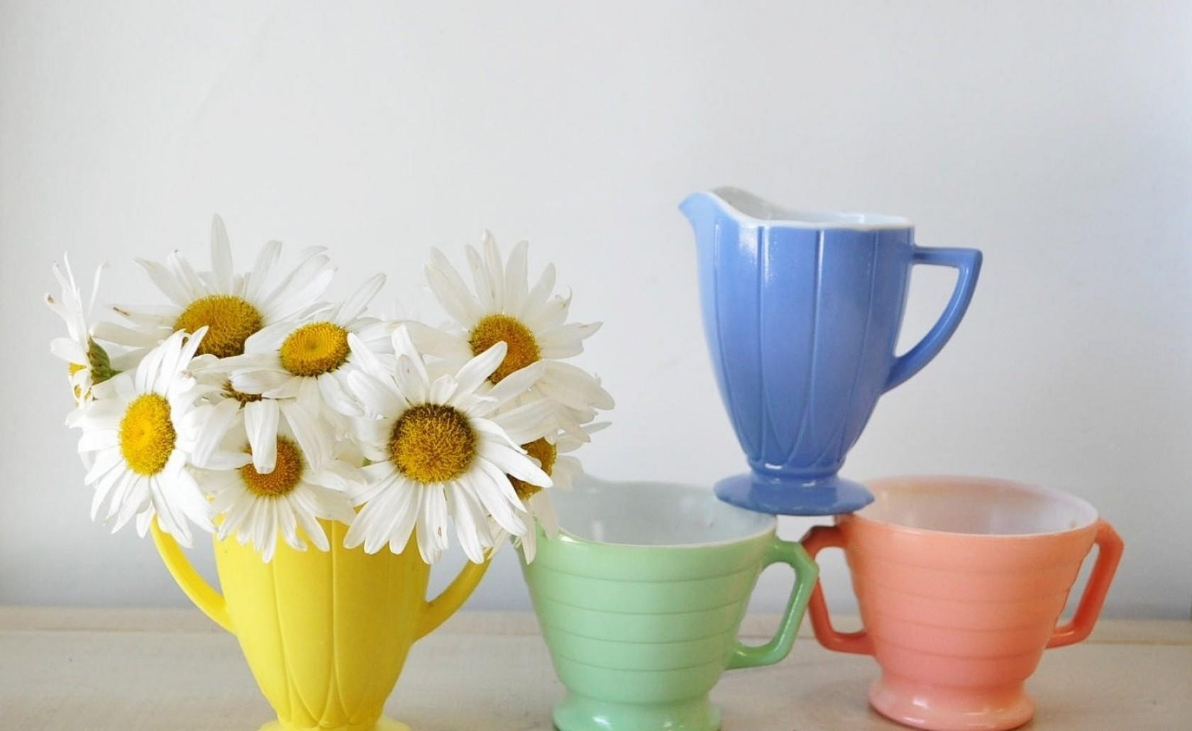 flowers, cups, camomile, multicolored, bouquet