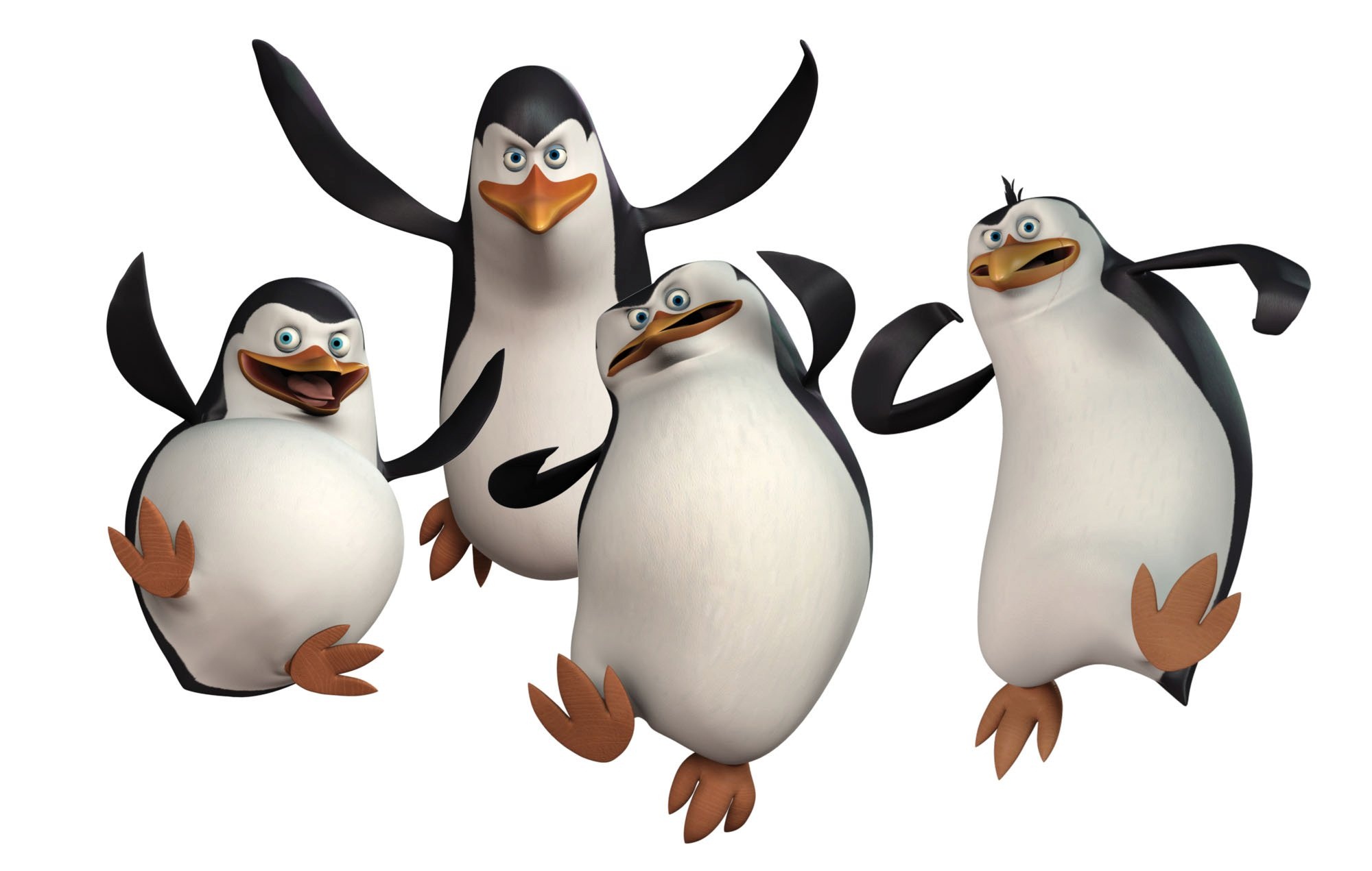 554908壁紙のダウンロード映画, マダガスカルのペンギン, マダガスカル（映画）, ニコロデオン, ペンギン-スクリーンセーバーと写真を無料で