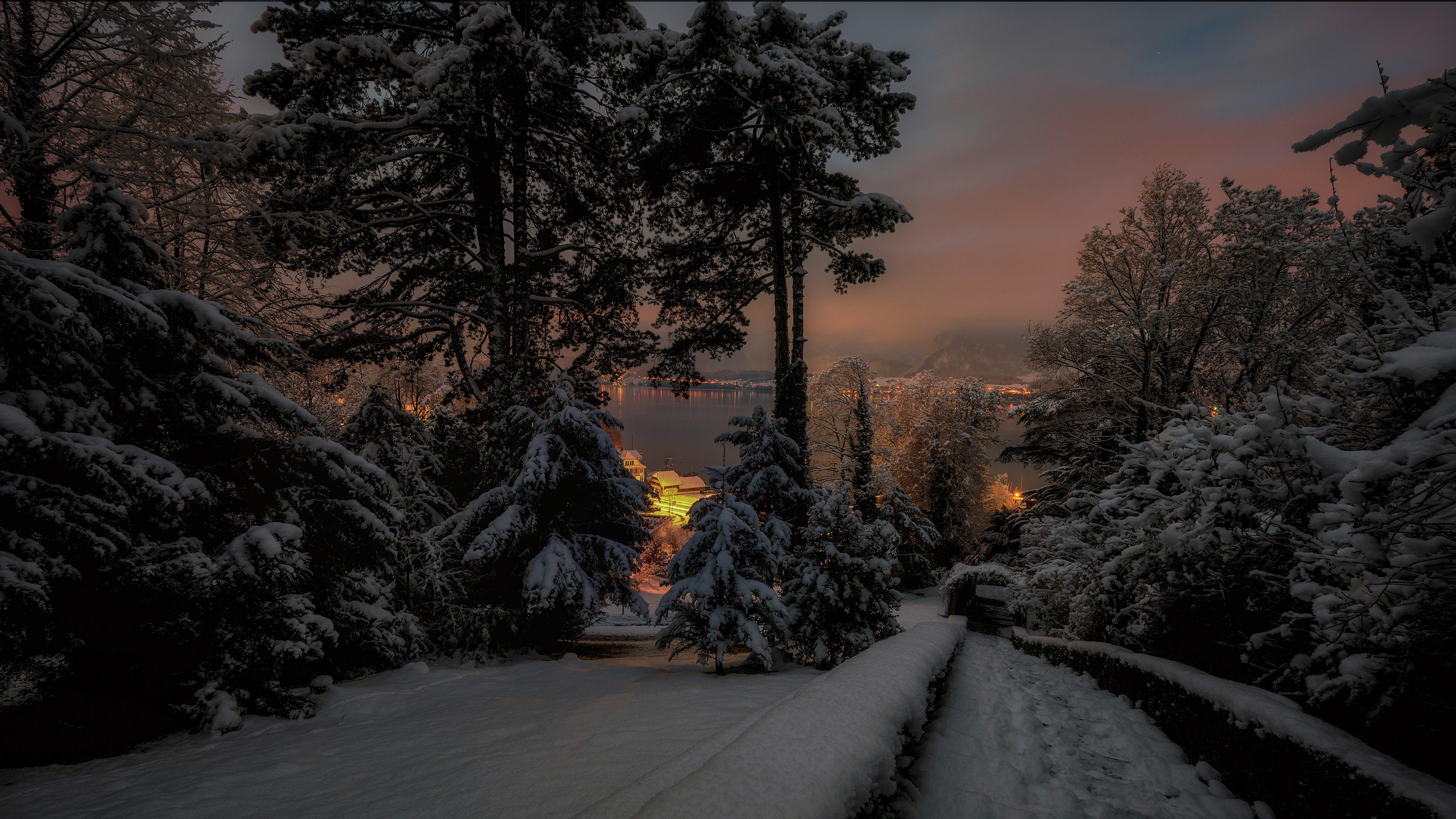 PCデスクトップに冬, 雪, 森, 夜, 写真撮影, 松の木画像を無料でダウンロード