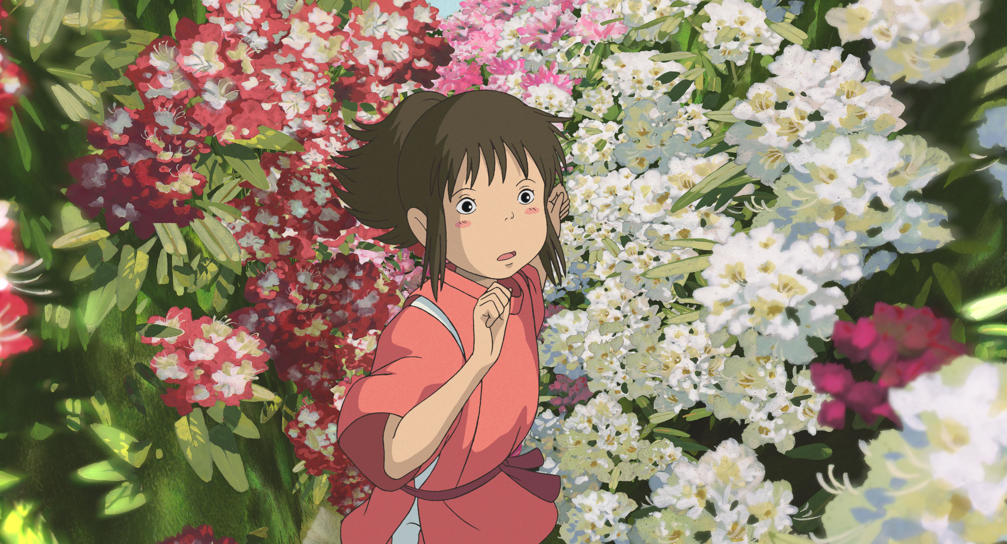 564061 Hintergrundbild herunterladen animes, chihiros reise ins zauberland - Bildschirmschoner und Bilder kostenlos