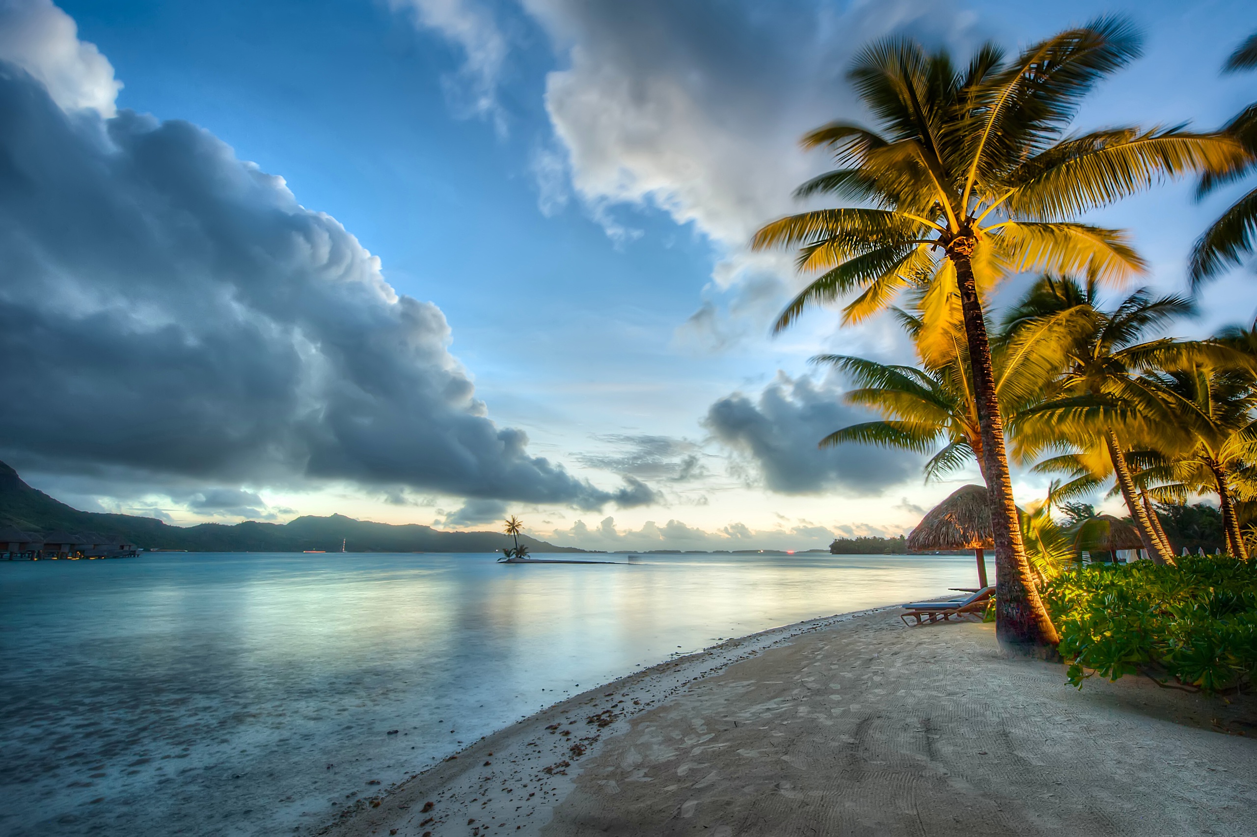 Handy-Wallpaper Strand, Horizont, Ozean, Palme, Tropisch, Wolke, Fotografie, Himmel, Feiertag kostenlos herunterladen.