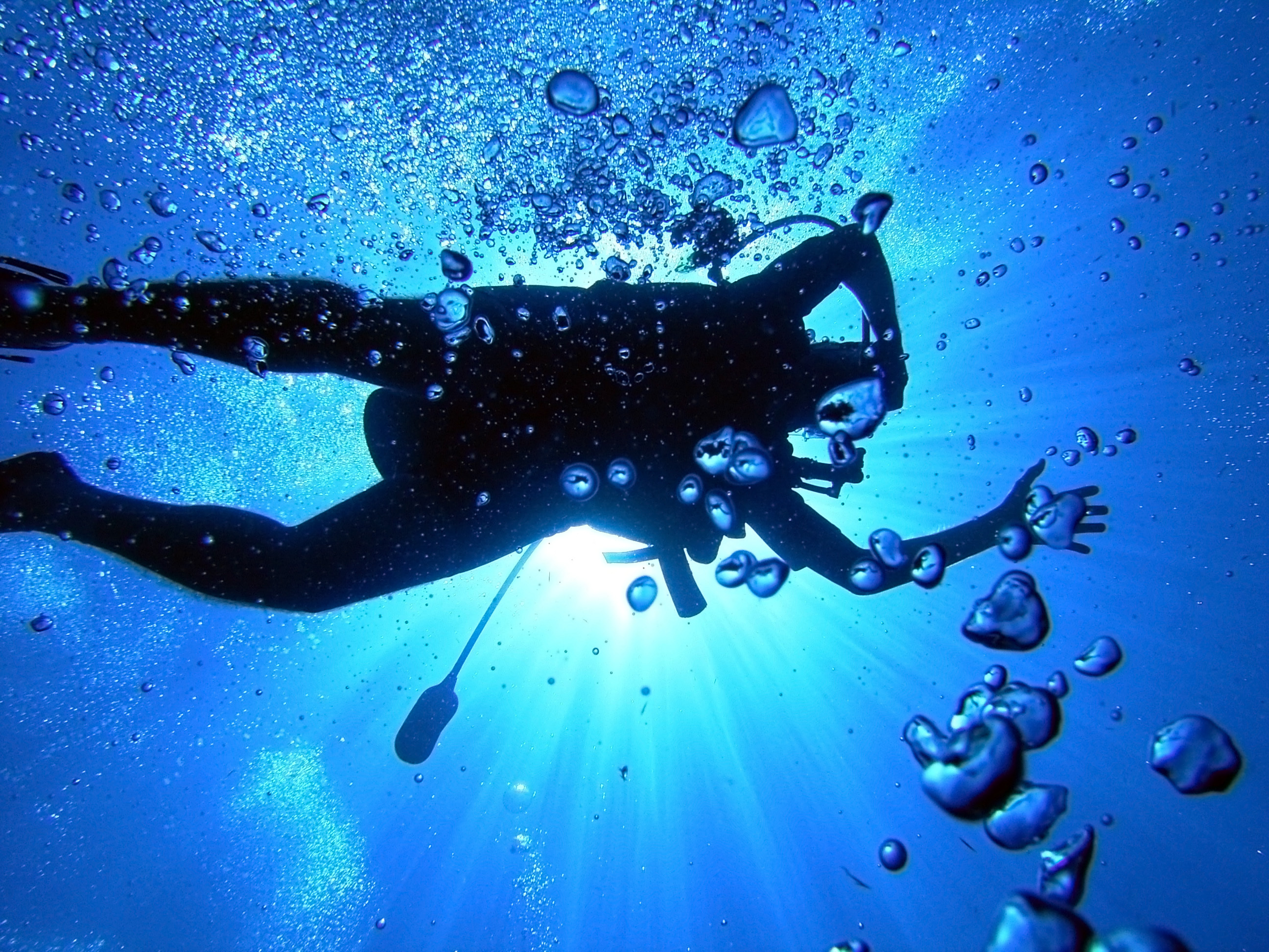 Завантажити шпалери Підводне Плавання на телефон безкоштовно
