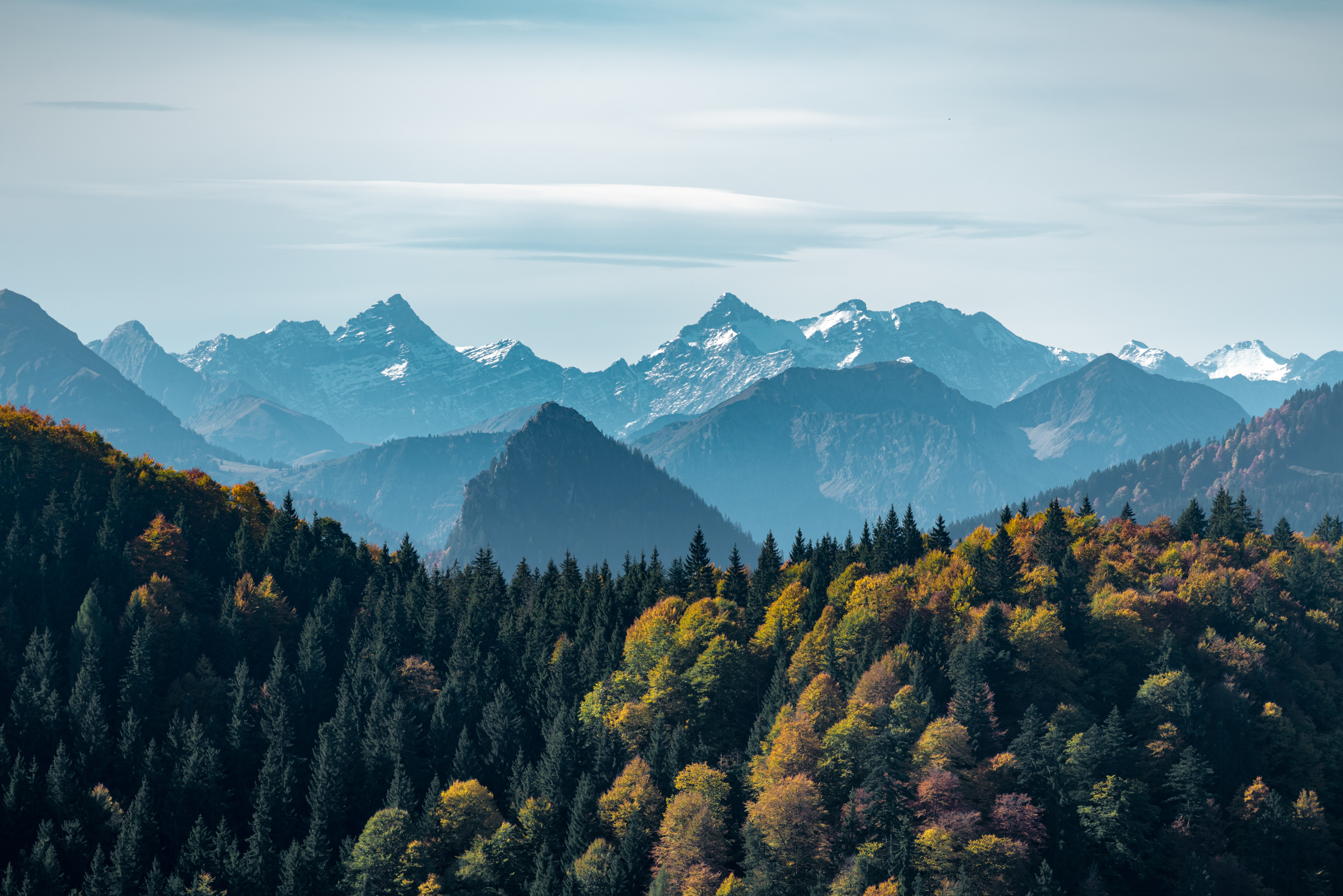 Free download wallpaper Mountains, Vertex, Fog, Nature, Tops, Forest, Landscape on your PC desktop
