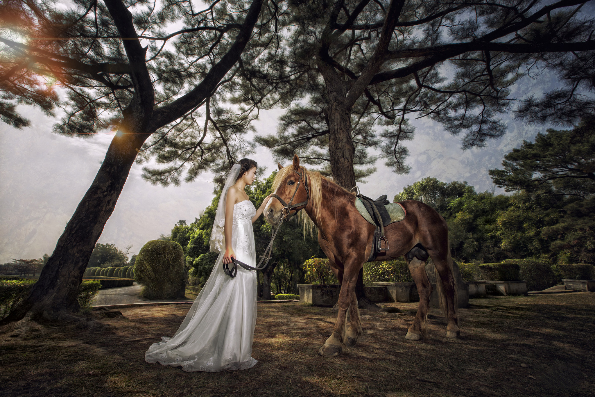 Download mobile wallpaper Horse, Brunette, Bride, Women, Asian, Wedding Dress for free.
