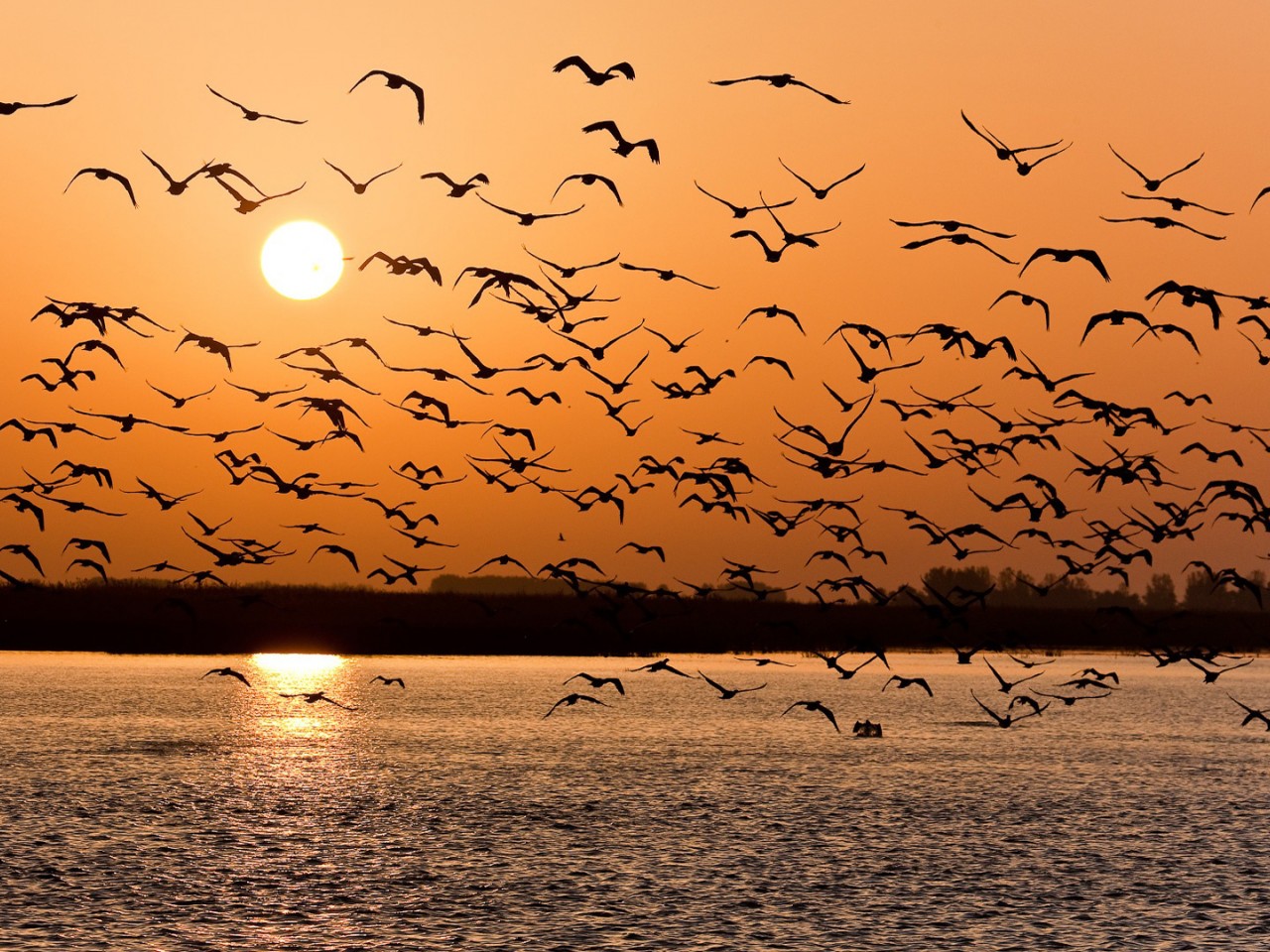 Téléchargez gratuitement l'image Coucher De Soleil, Terre/nature sur le bureau de votre PC