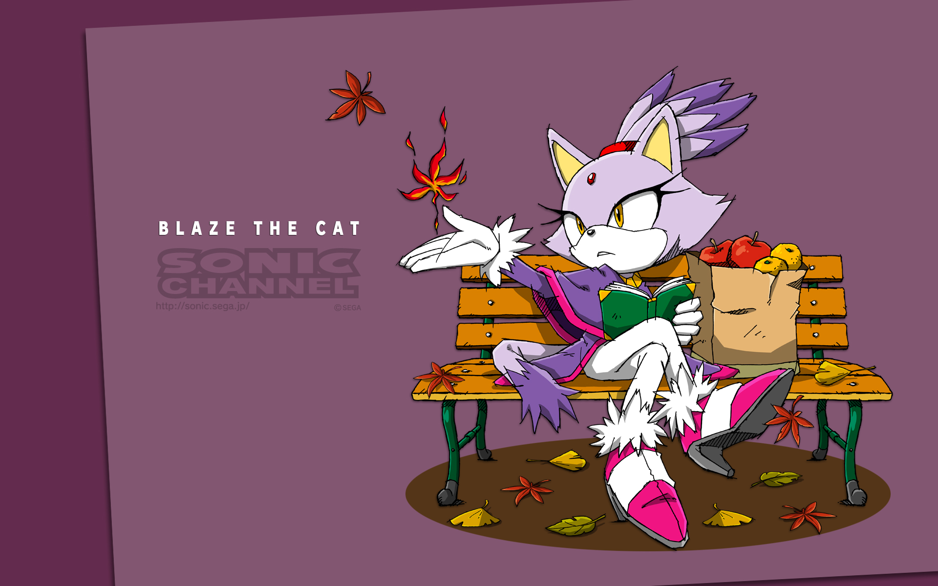 blaze the cat, video game, sonic the hedgehog, sonic channel, sonic