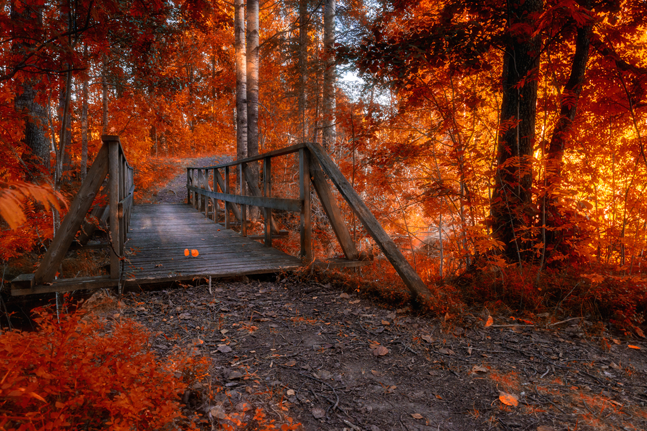 Laden Sie das Brücke, Menschengemacht-Bild kostenlos auf Ihren PC-Desktop herunter