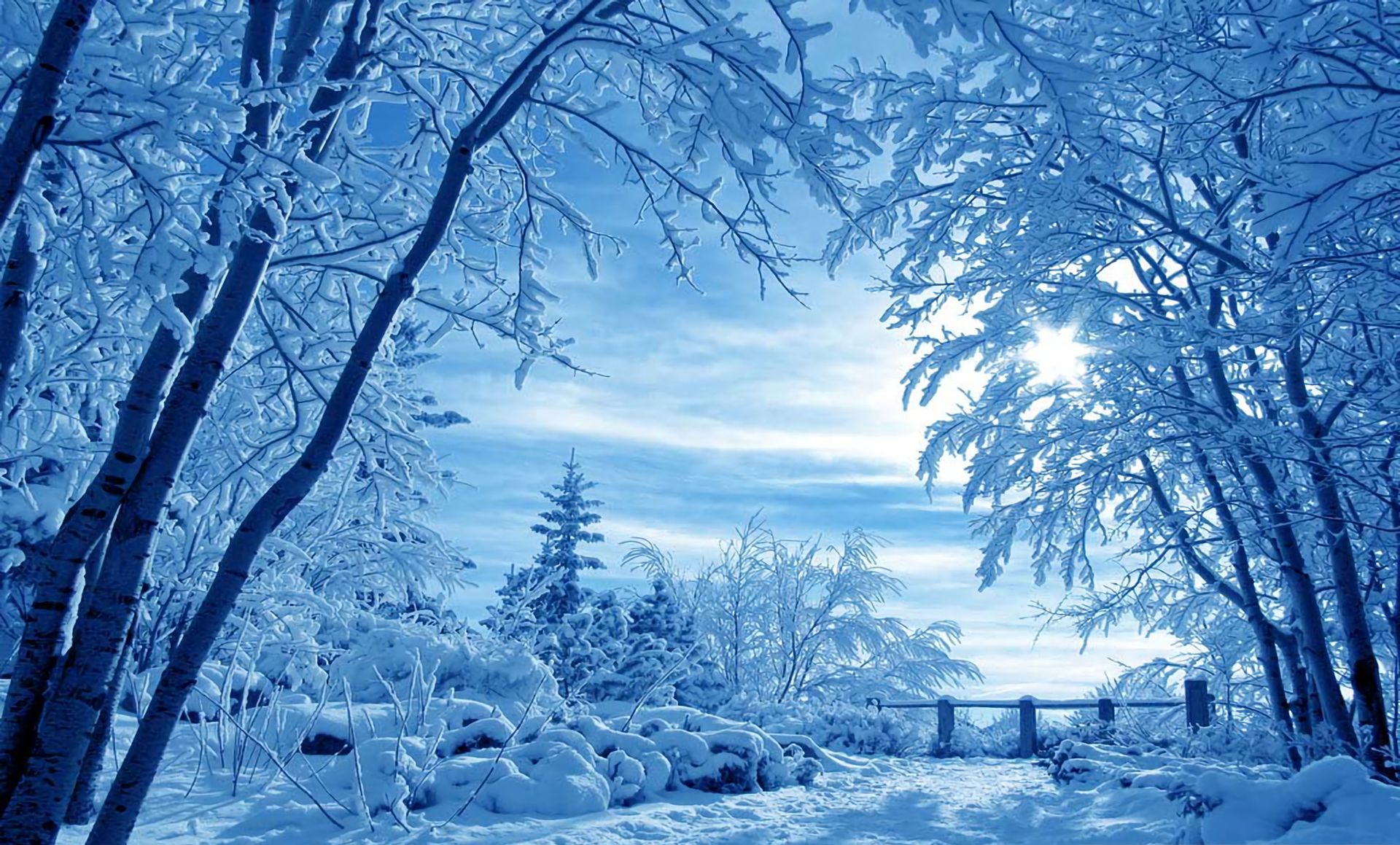 Download mobile wallpaper Landscape, Winter, Snow, Tree, Earth for free.