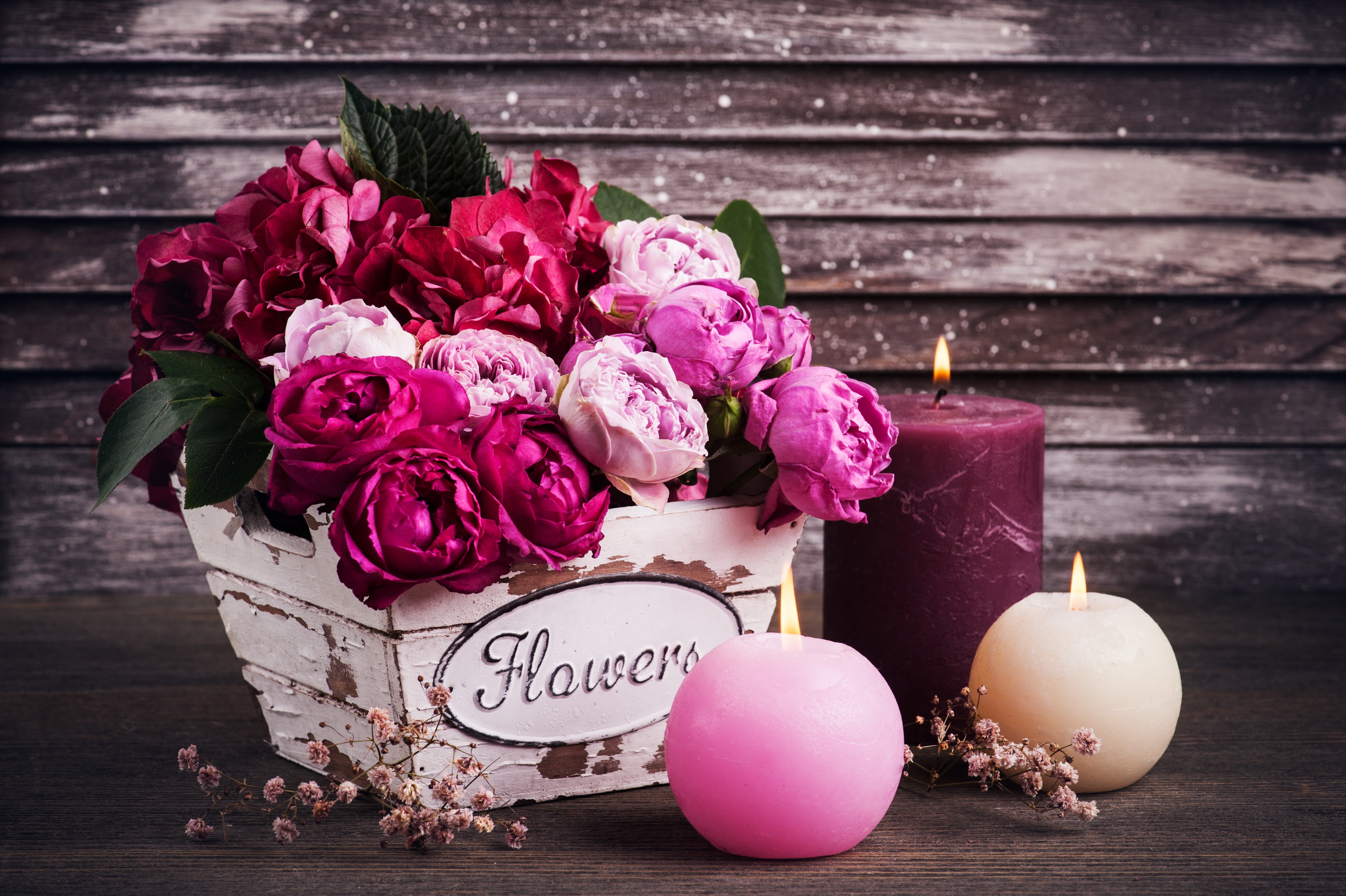 Laden Sie das Blume, Kerze, Fotografie, Hortensien, Lila Blume, Pinke Blume, Stillleben-Bild kostenlos auf Ihren PC-Desktop herunter