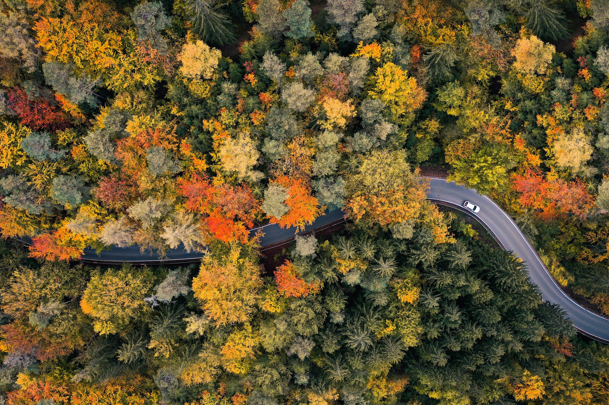 Завантажити шпалери безкоштовно Дорога, Ліс, Автомобіль, Падіння, Фотографія, Антена картинка на робочий стіл ПК