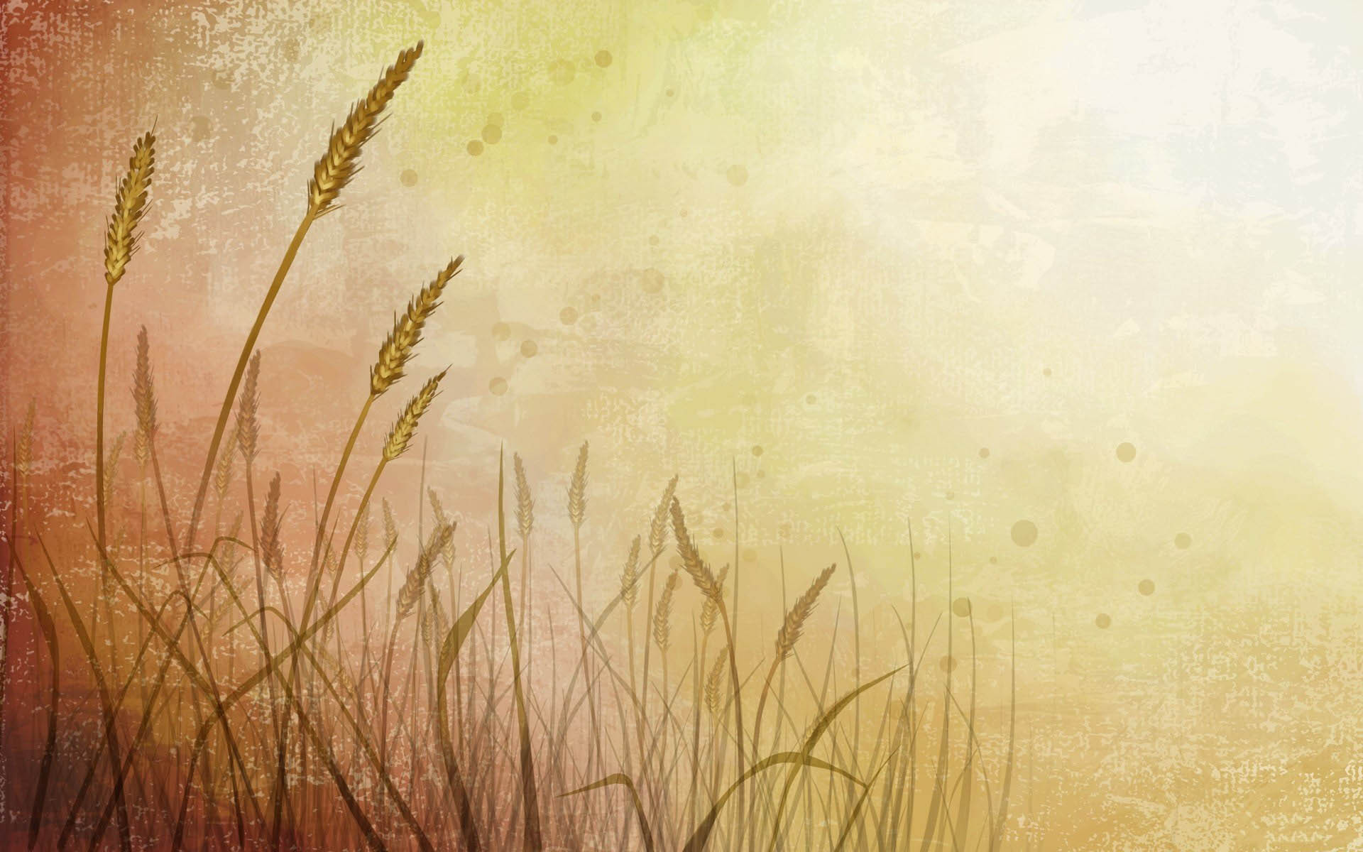 Free download wallpaper Background, Wheat on your PC desktop