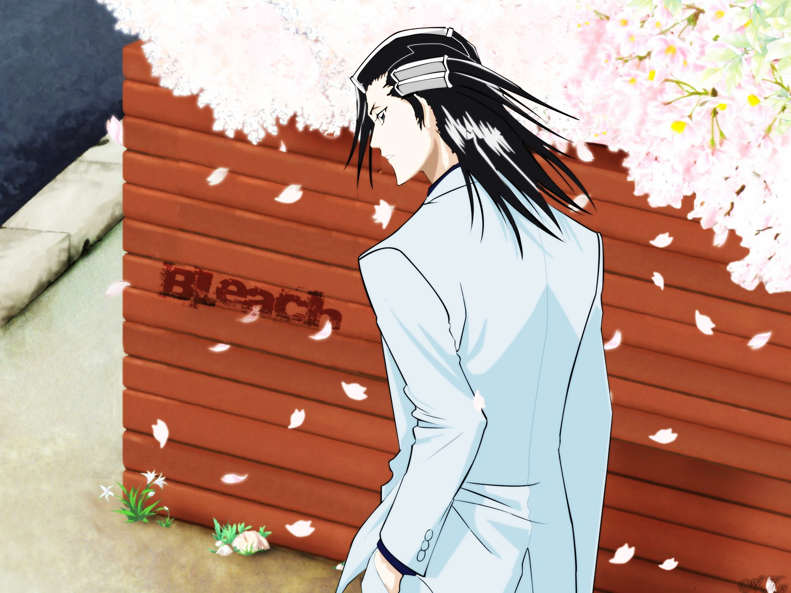 Baixar papel de parede para celular de Byakuya Kuchiki, Alvejante, Anime gratuito.