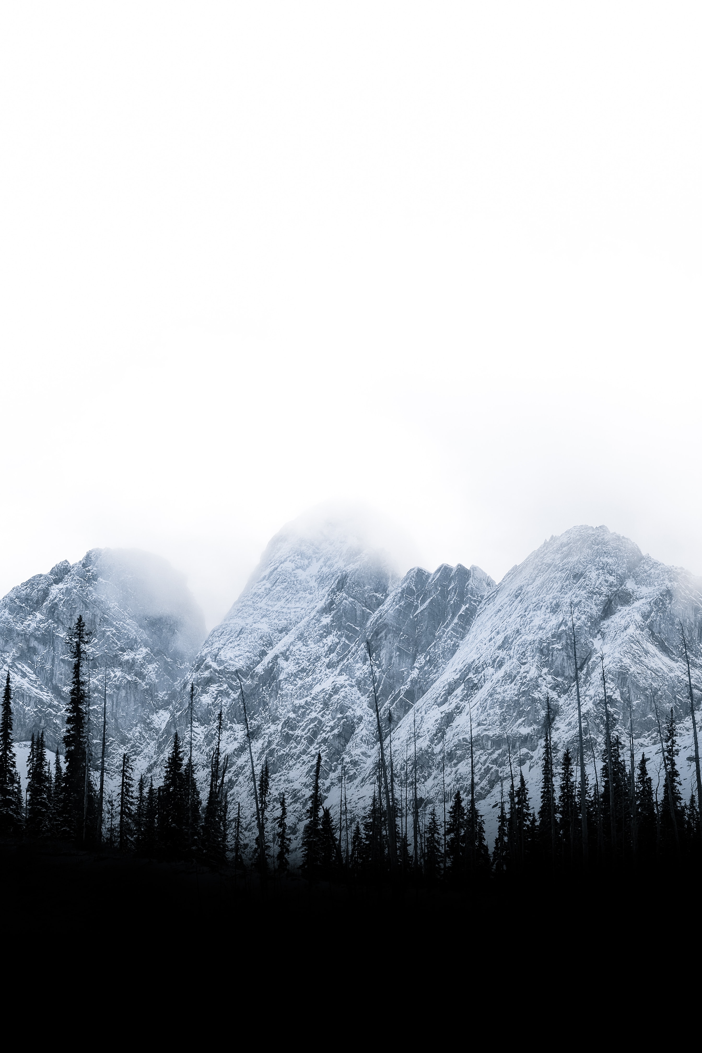 Download mobile wallpaper Vertex, Clouds, Tops, Trees, Nature, Mountains, Landscape for free.