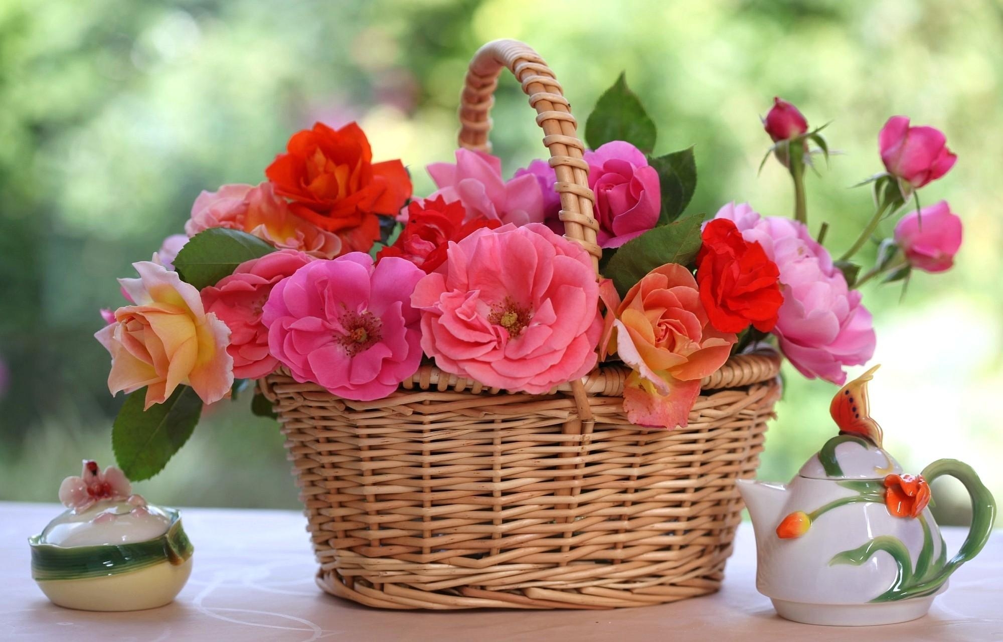 Téléchargez gratuitement l'image Roses, Flou, Lisse, Table, Panier, Porcelaine, Tableau, Fleurs sur le bureau de votre PC