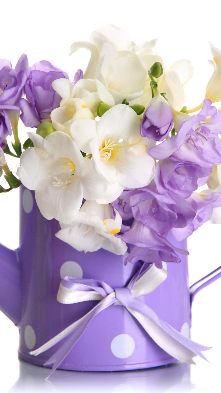 Handy-Wallpaper Blume, Weiße Blume, Lila Blume, Menschengemacht kostenlos herunterladen.