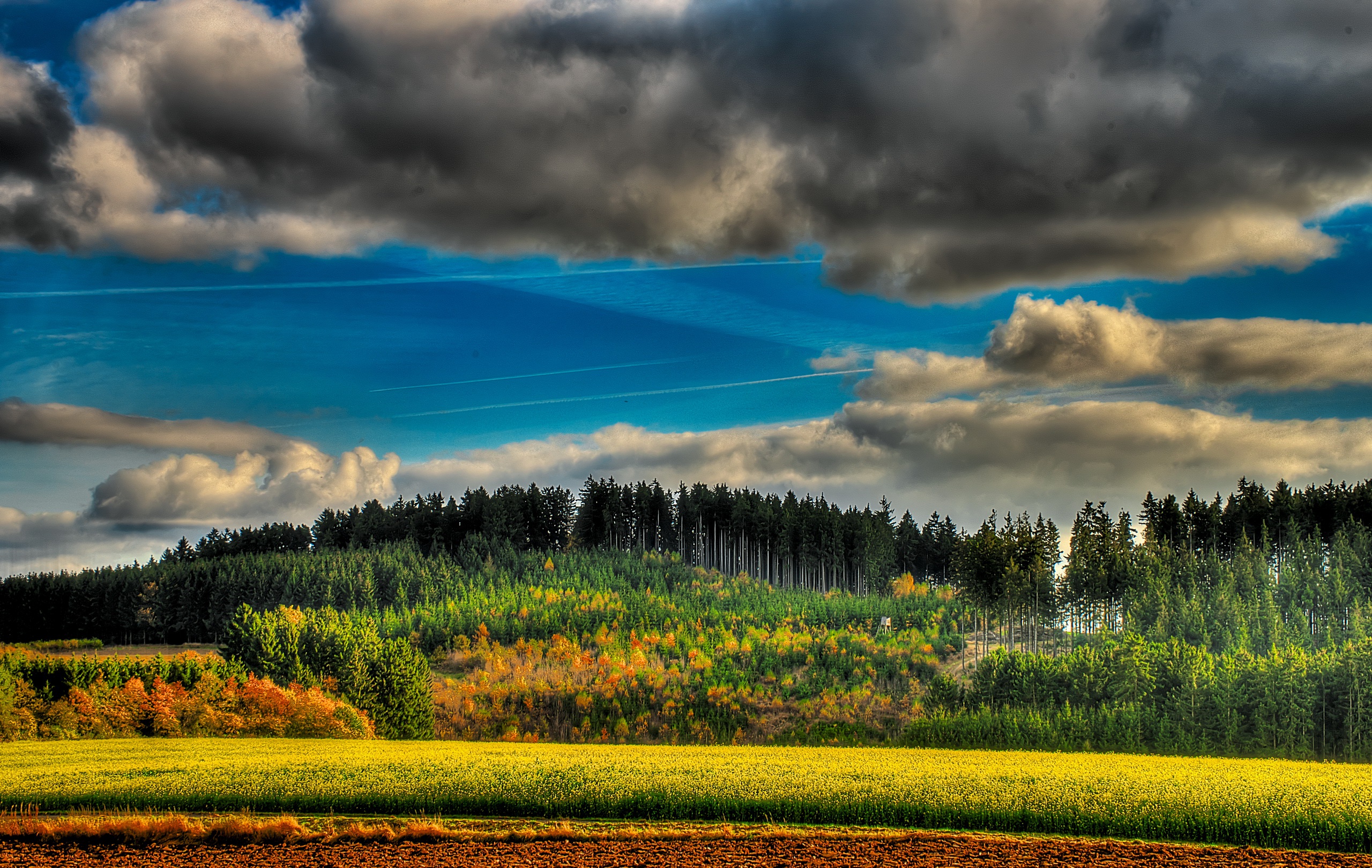 Free download wallpaper Nature, Forest, Earth, Field, Cloud on your PC desktop