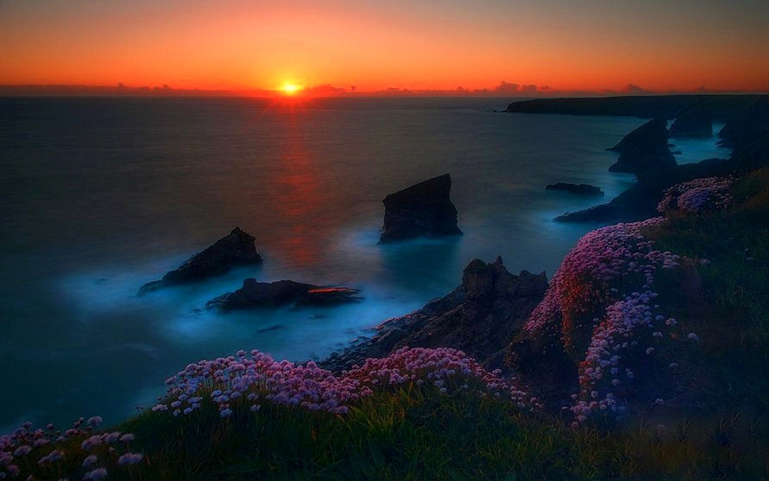 Laden Sie das Horizont, Blume, Küste, Erde, Cliff, Sonnenuntergang, Sonne, Erde/natur-Bild kostenlos auf Ihren PC-Desktop herunter