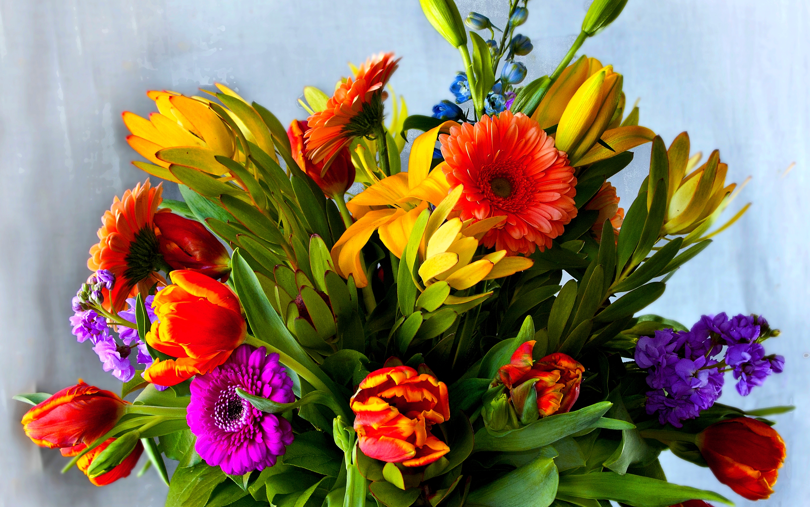 Handy-Wallpaper Blumen, Blume, Farben, Bunt, Gelbe Blume, Erde/natur, Orangene Blume kostenlos herunterladen.