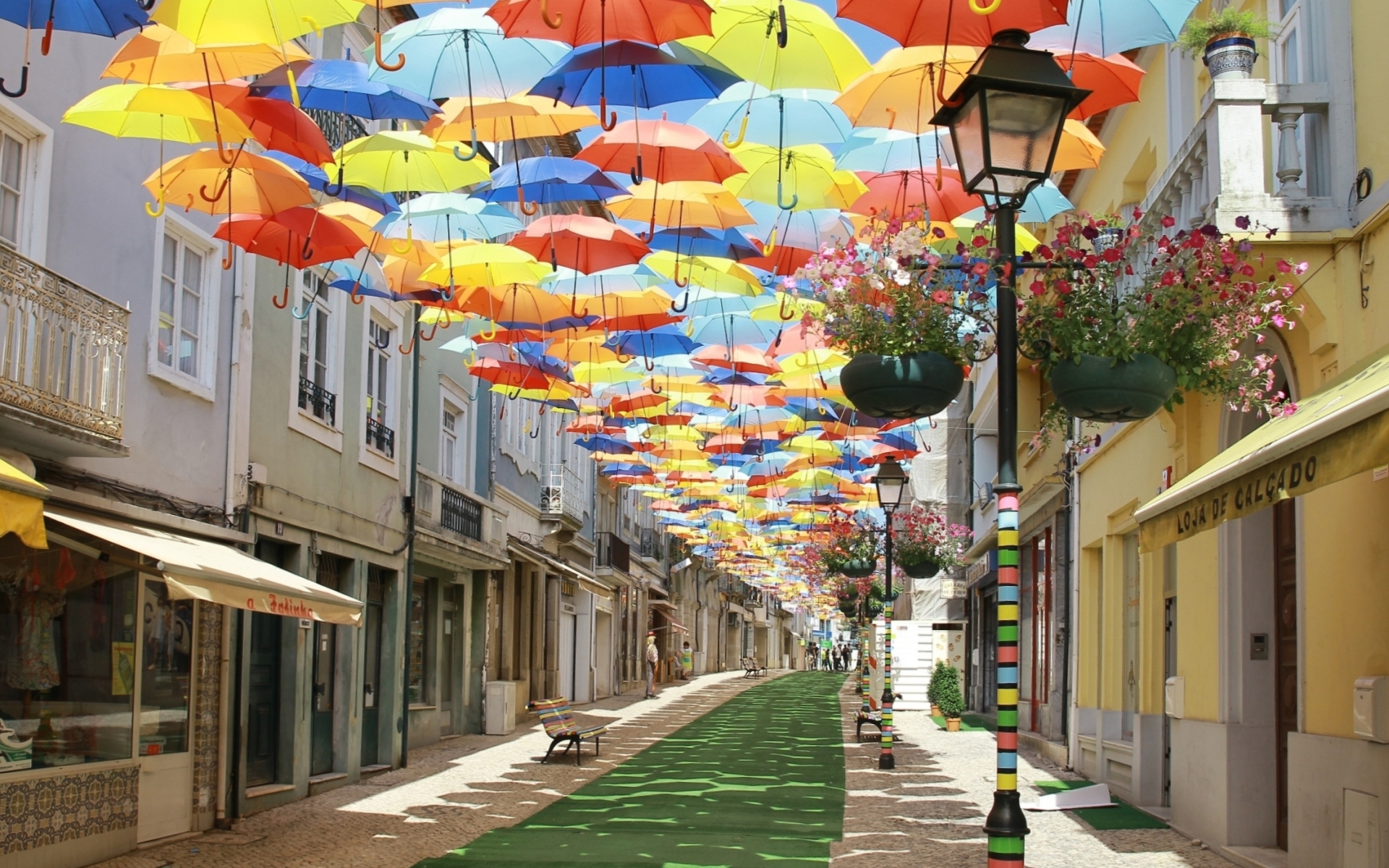 Téléchargez des papiers peints mobile Parapluie, Photographie gratuitement.
