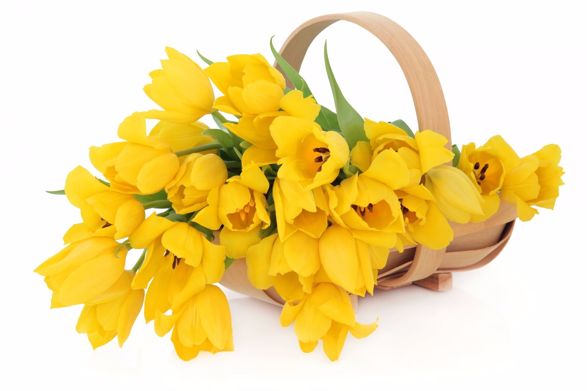 Download mobile wallpaper Still Life, Flower, Basket, Tulip, Photography, Yellow Flower for free.