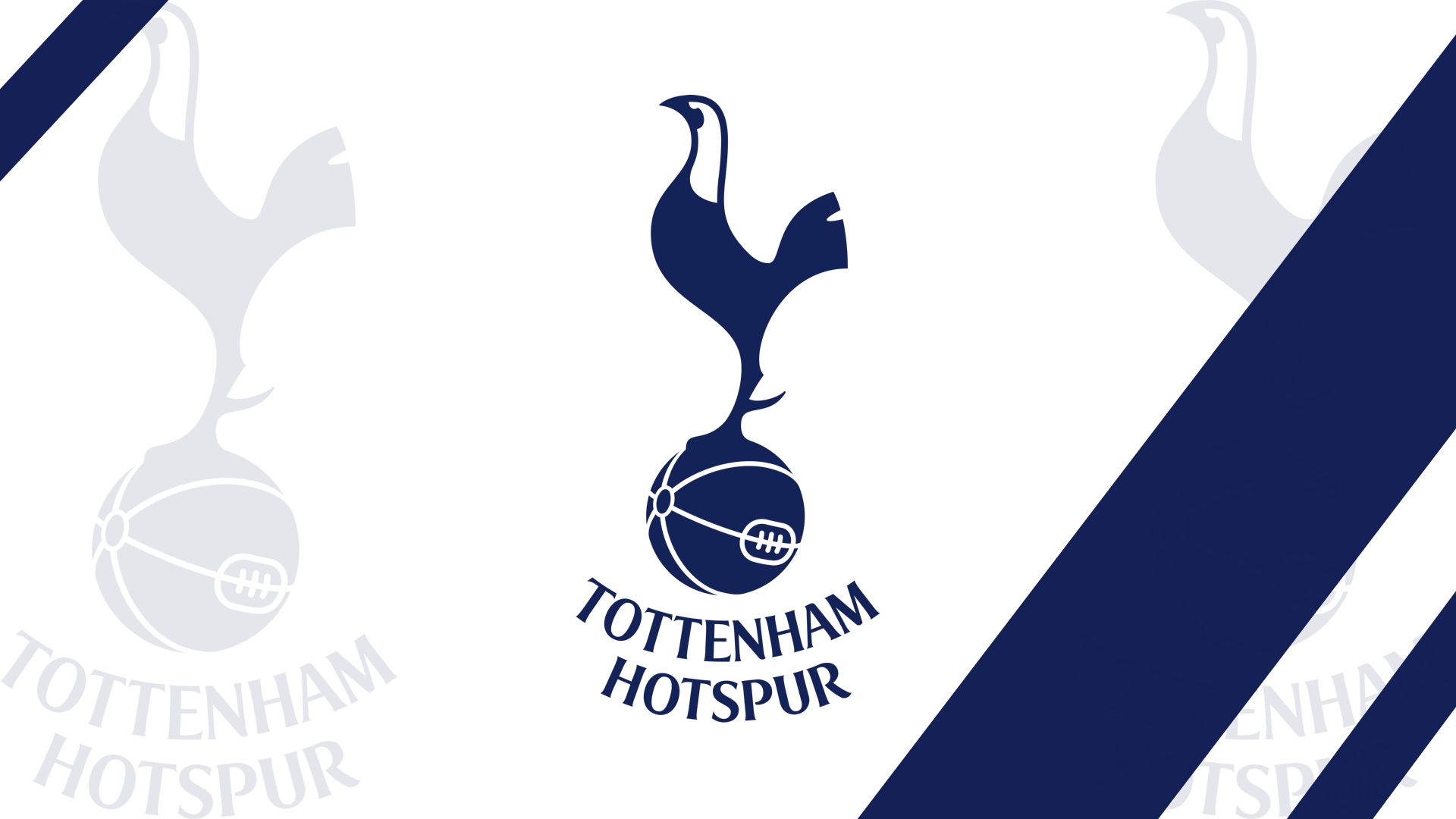 Baixe gratuitamente a imagem Esportes, Futebol, Logotipo, Emblema, Tottenham Hotspur Football Club na área de trabalho do seu PC