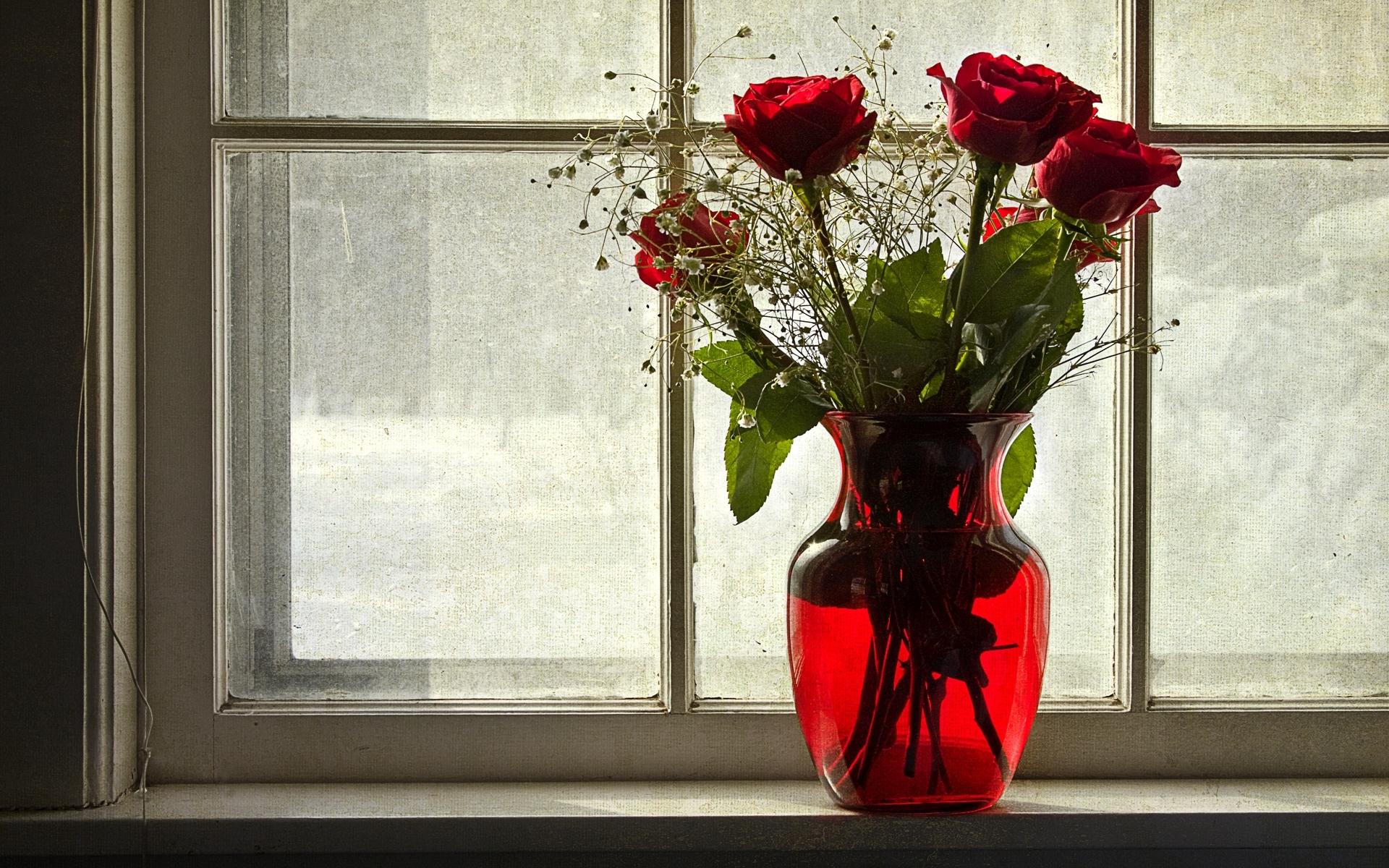 Download mobile wallpaper Flower, Rose, Window, Vase, Red Flower, Man Made for free.