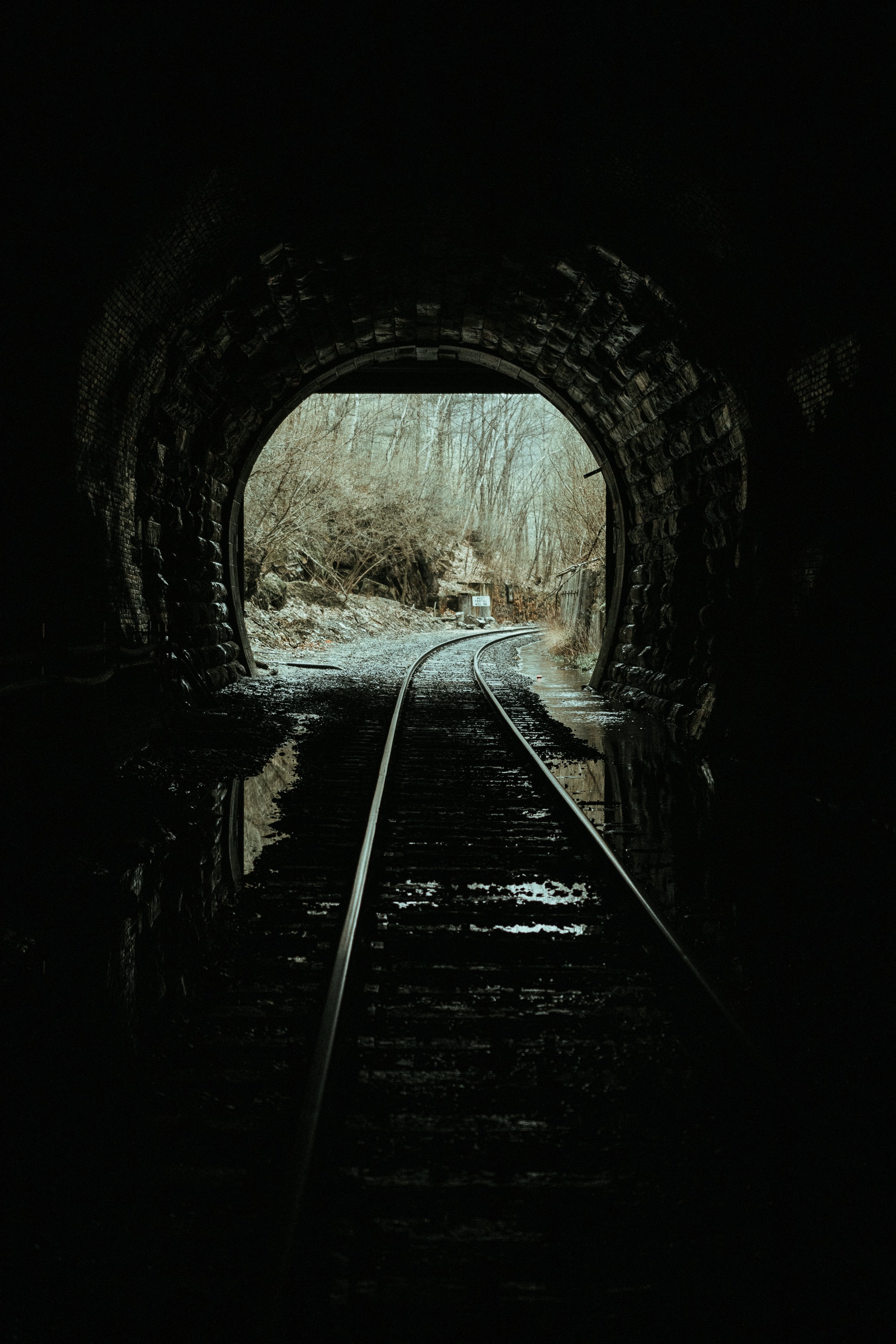 nature, trees, dark, tunnel, rails