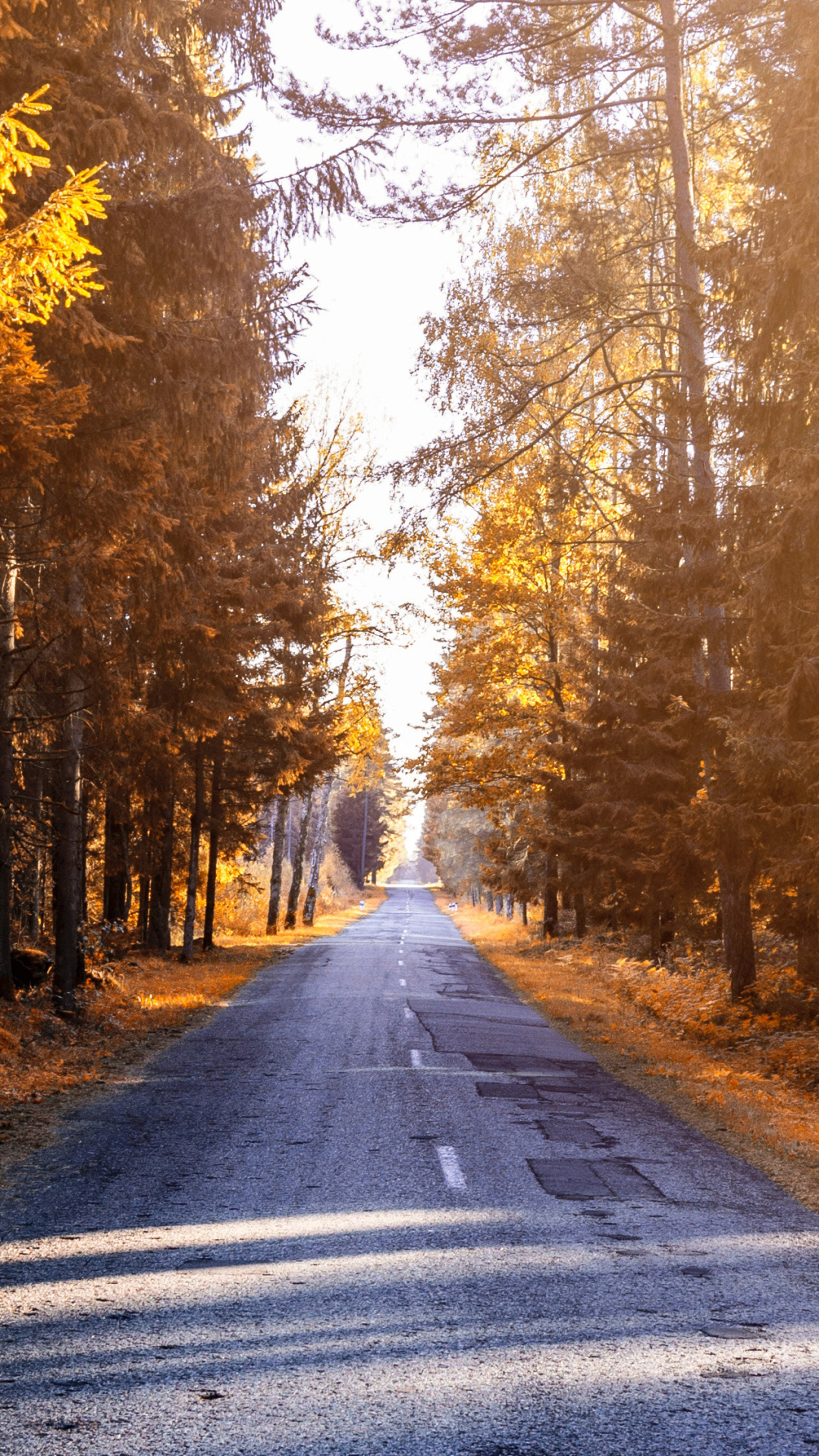 Download mobile wallpaper Road, Fall, Man Made for free.