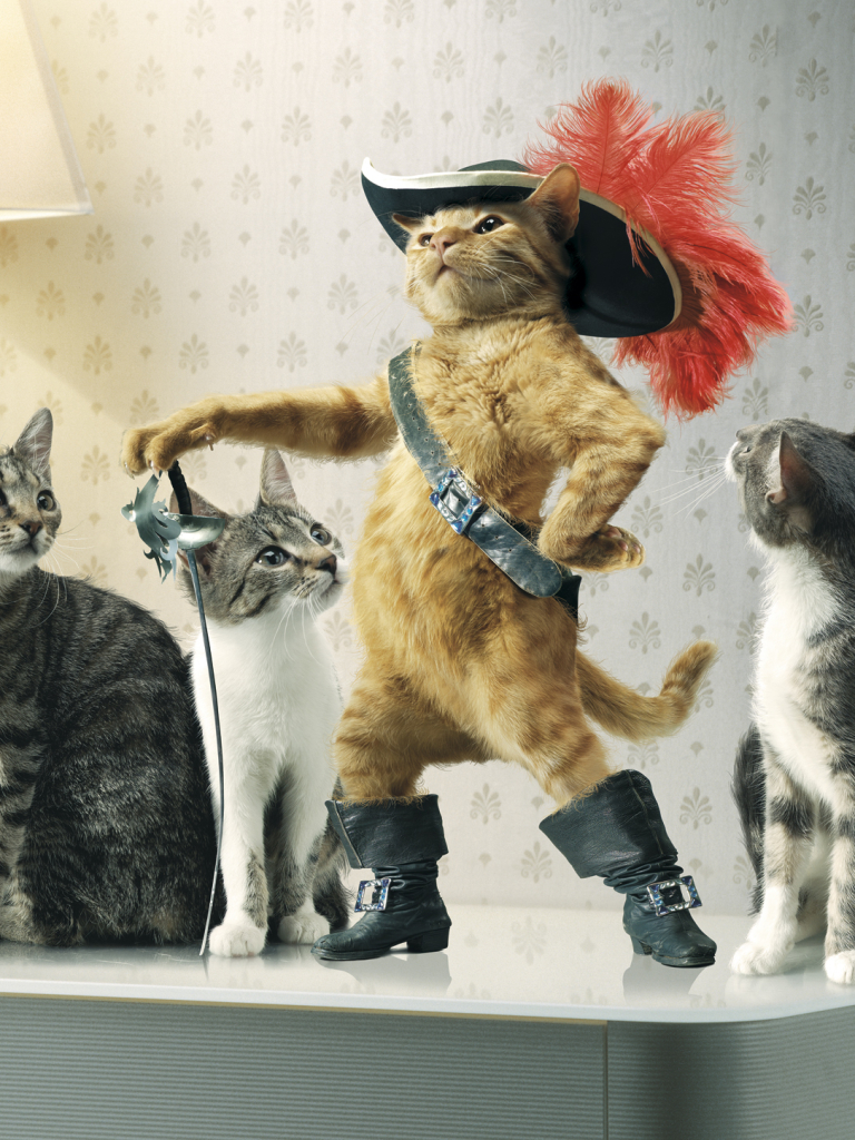 無料モバイル壁紙動物, ネコ, 帽子, 剣, ユーモア, 長ぐつをはいたネコをダウンロードします。