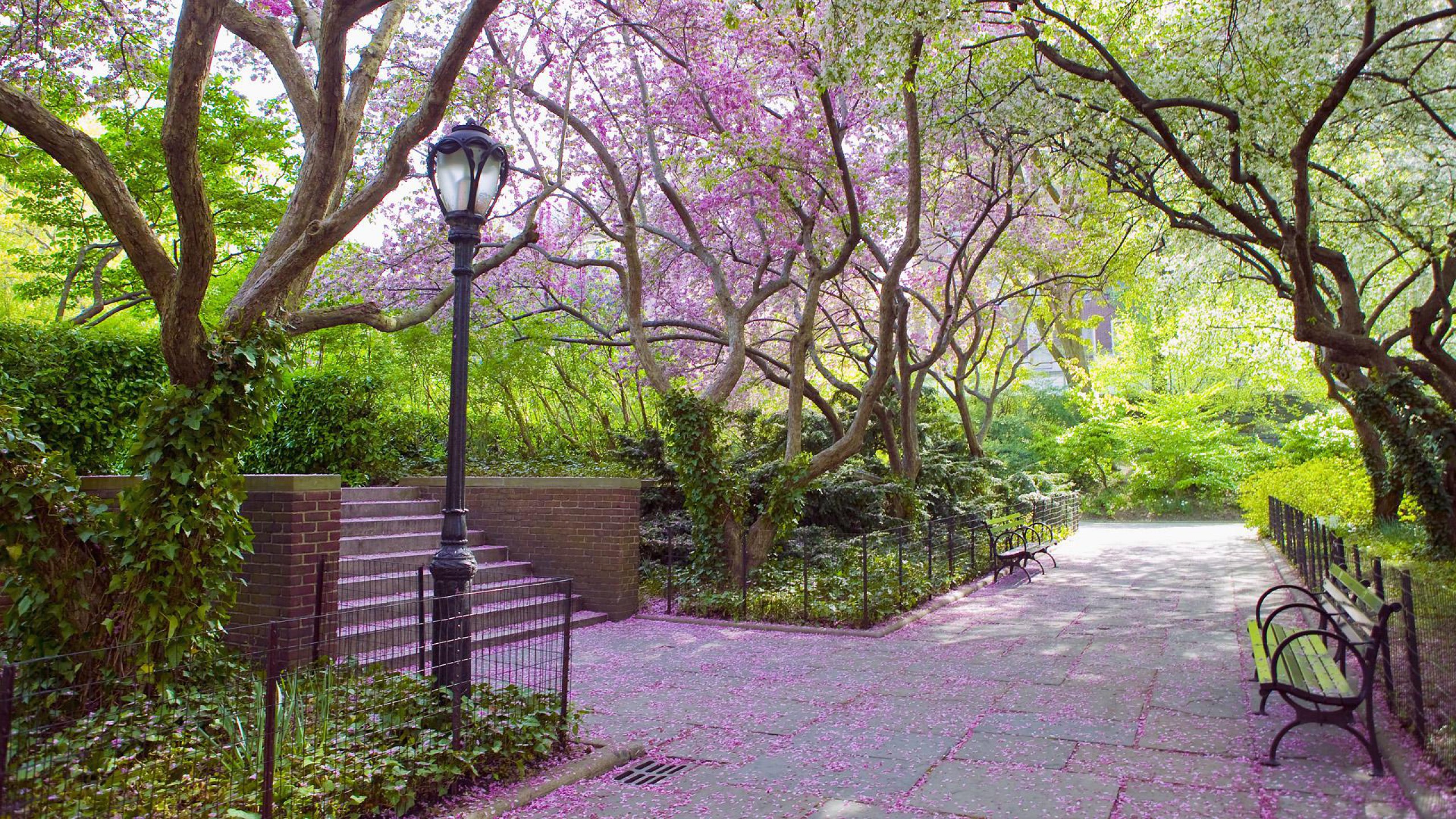 Download mobile wallpaper Park, Tree, Path, Bench, Spring, Photography, Blossom, Street Light for free.