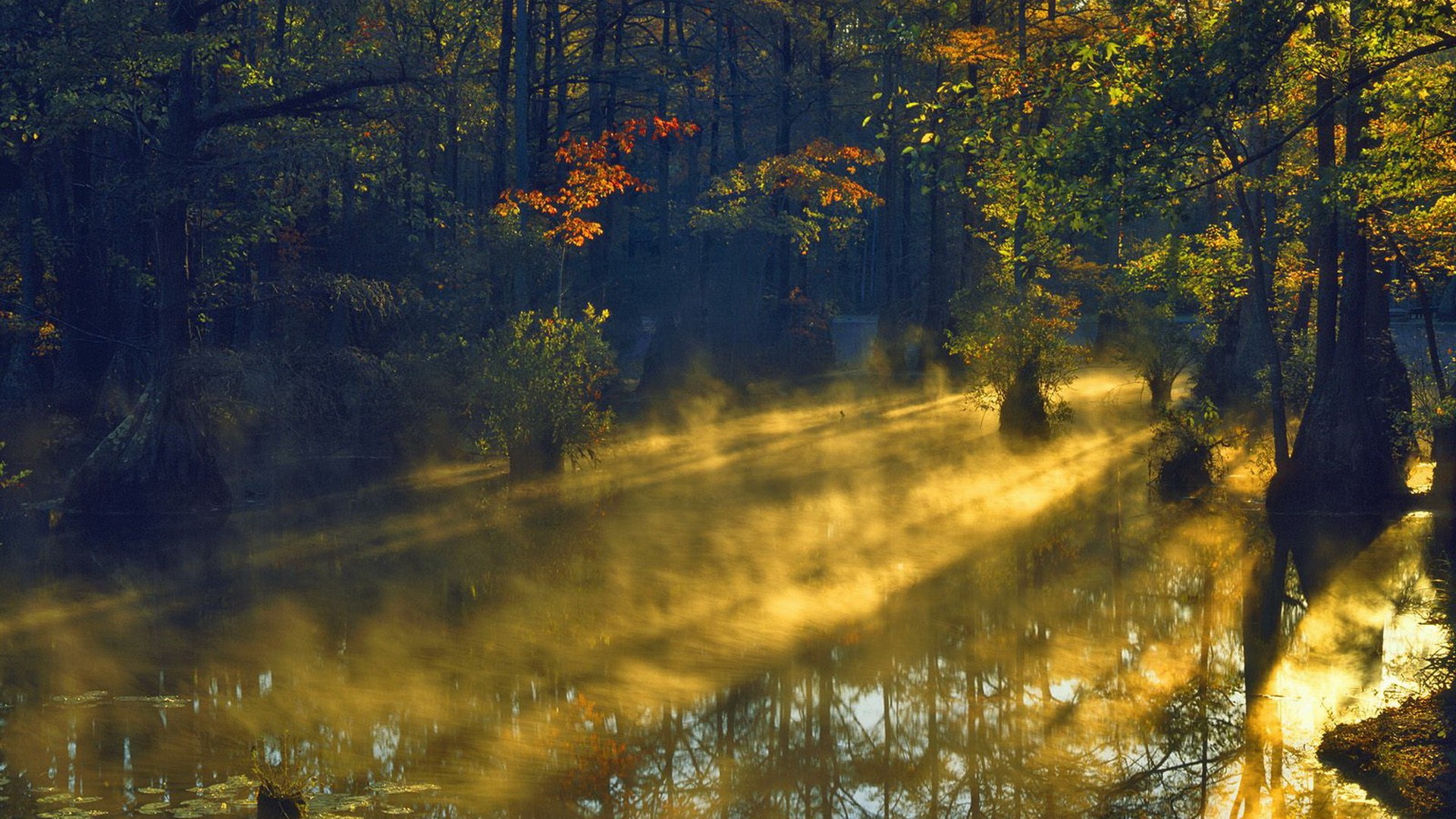 Descarga gratis la imagen Niebla, Tierra/naturaleza en el escritorio de tu PC