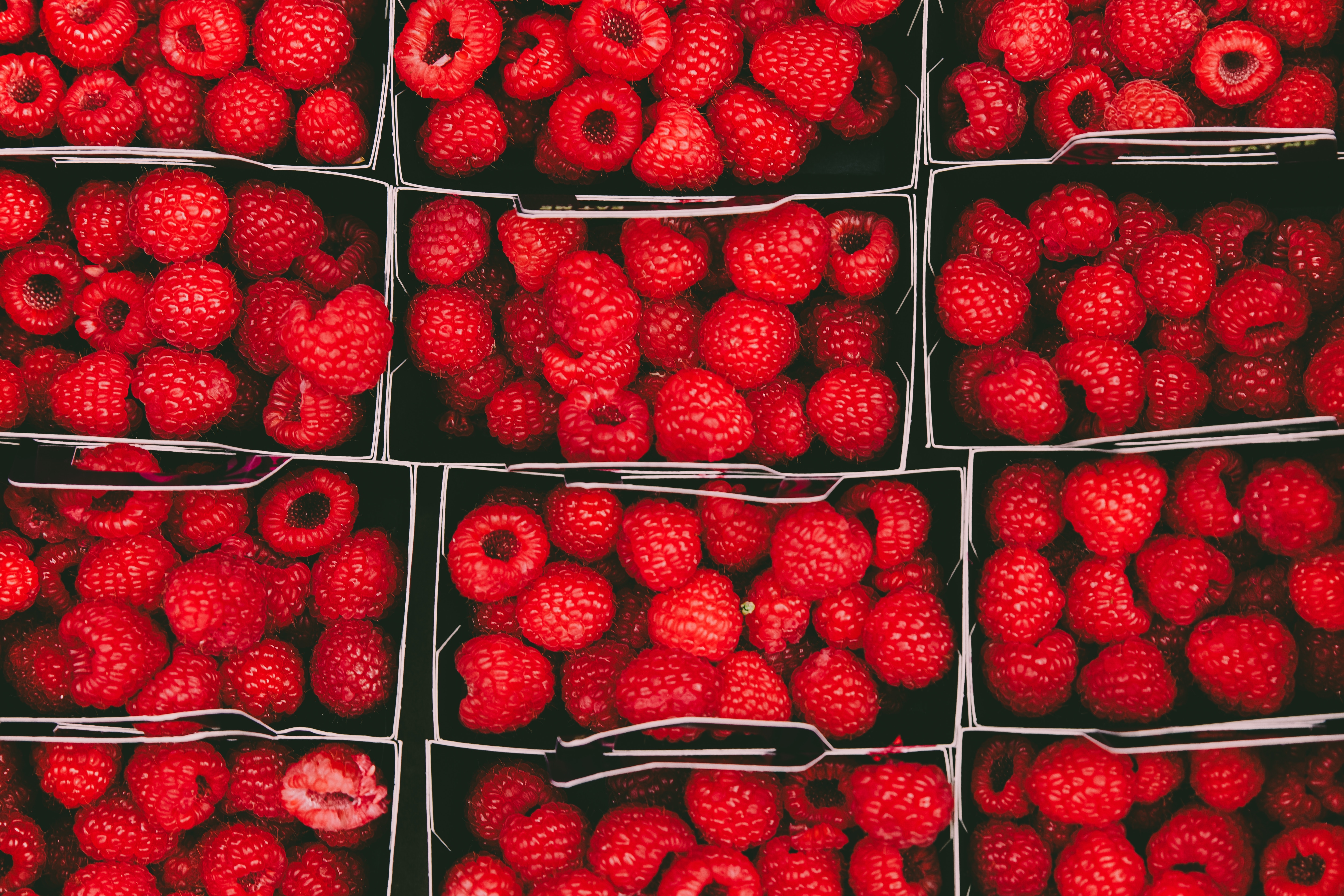 food, raspberry, berries, ripe, baskets