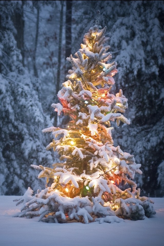 Скачать картинку Зима, Снег, Рождество, Рождественская Елка, Праздничные, Рождественские Огни в телефон бесплатно.