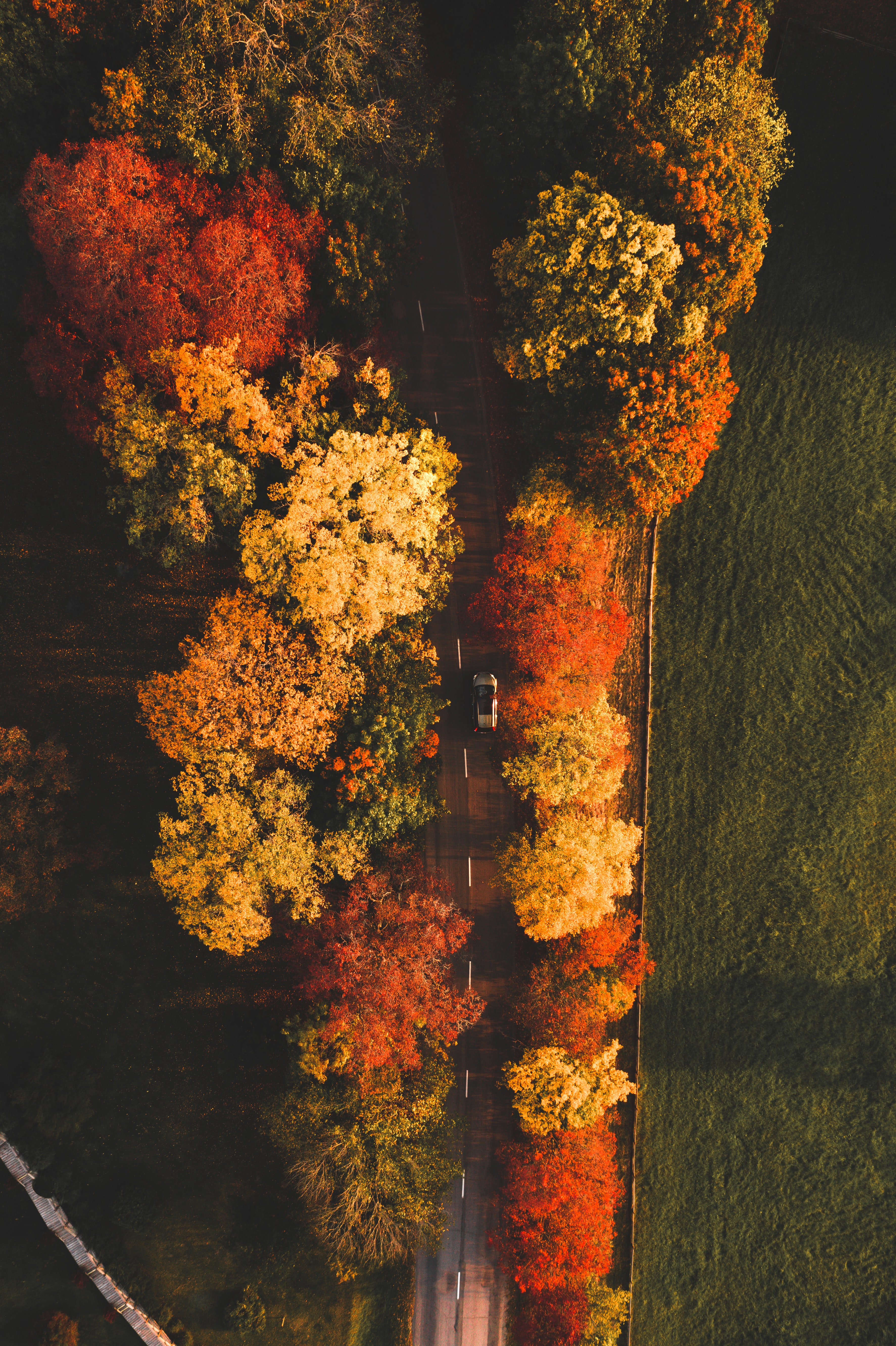 Download mobile wallpaper Autumn, Nature, View From Above, Trees, Road, Machine, Car for free.