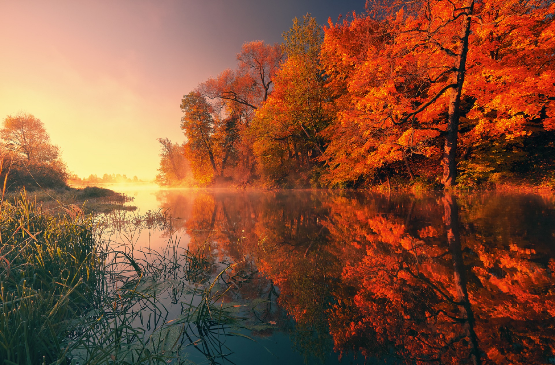 Handy-Wallpaper Herbst, Erde/natur kostenlos herunterladen.