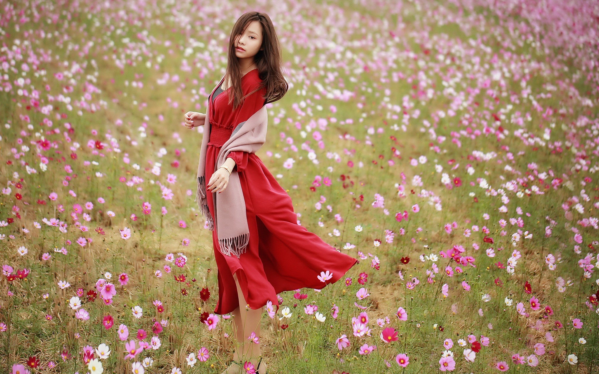 Free download wallpaper Flower, Brunette, Cosmos, Model, Women, Asian, Red Dress on your PC desktop