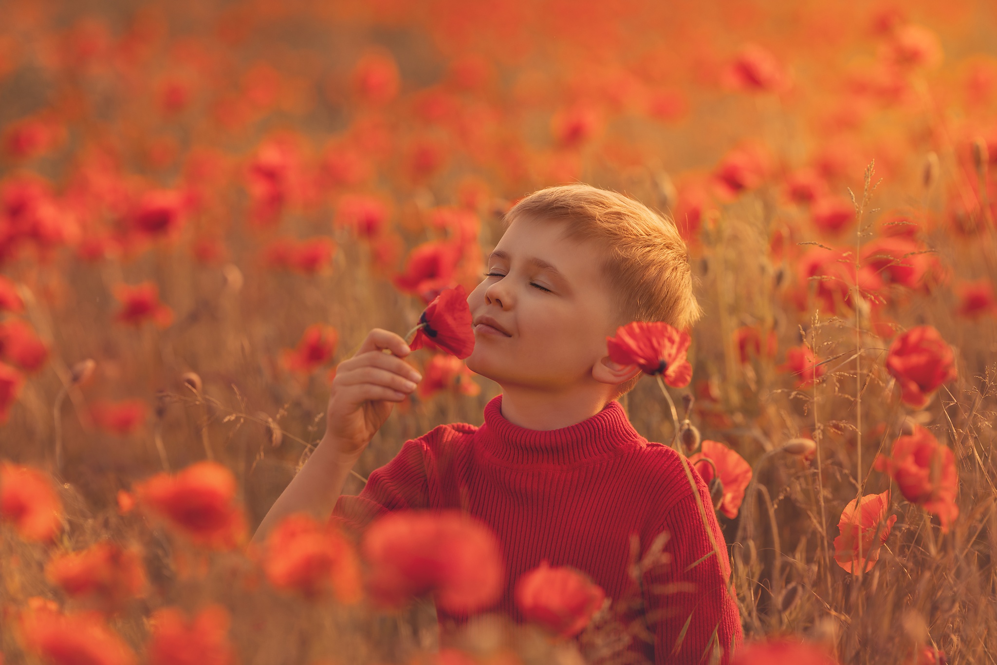 Download mobile wallpaper Child, Poppy, Photography, Little Boy for free.