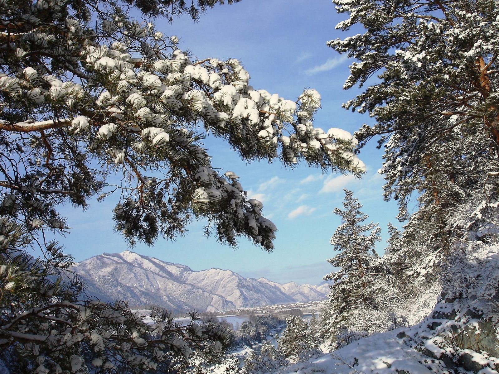 Handy-Wallpaper Landschaft, Winter, Schnee, Baum, Gebirge, Erde/natur kostenlos herunterladen.