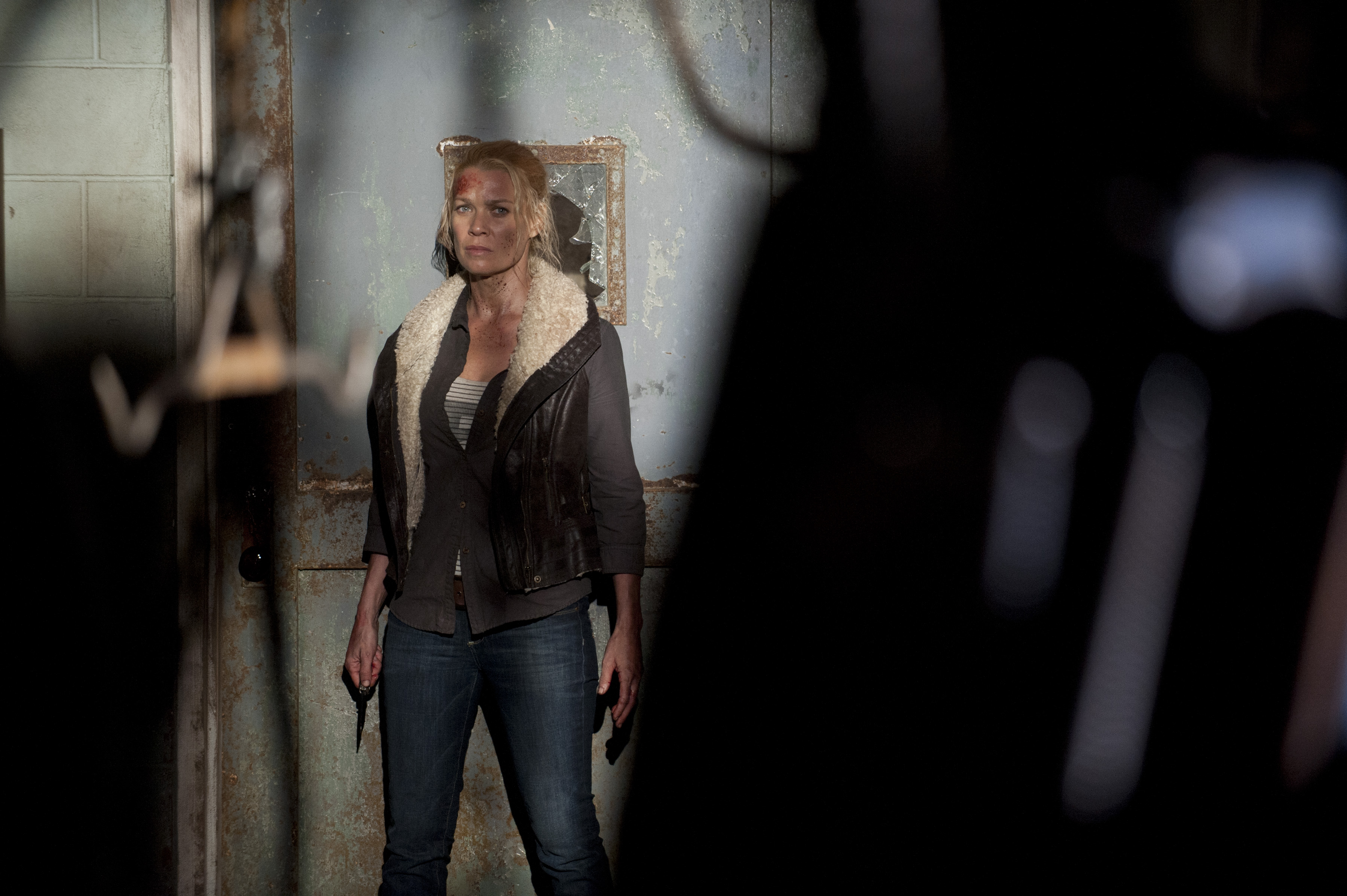 tv show, the walking dead, andrea (the walking dead), laurie holden