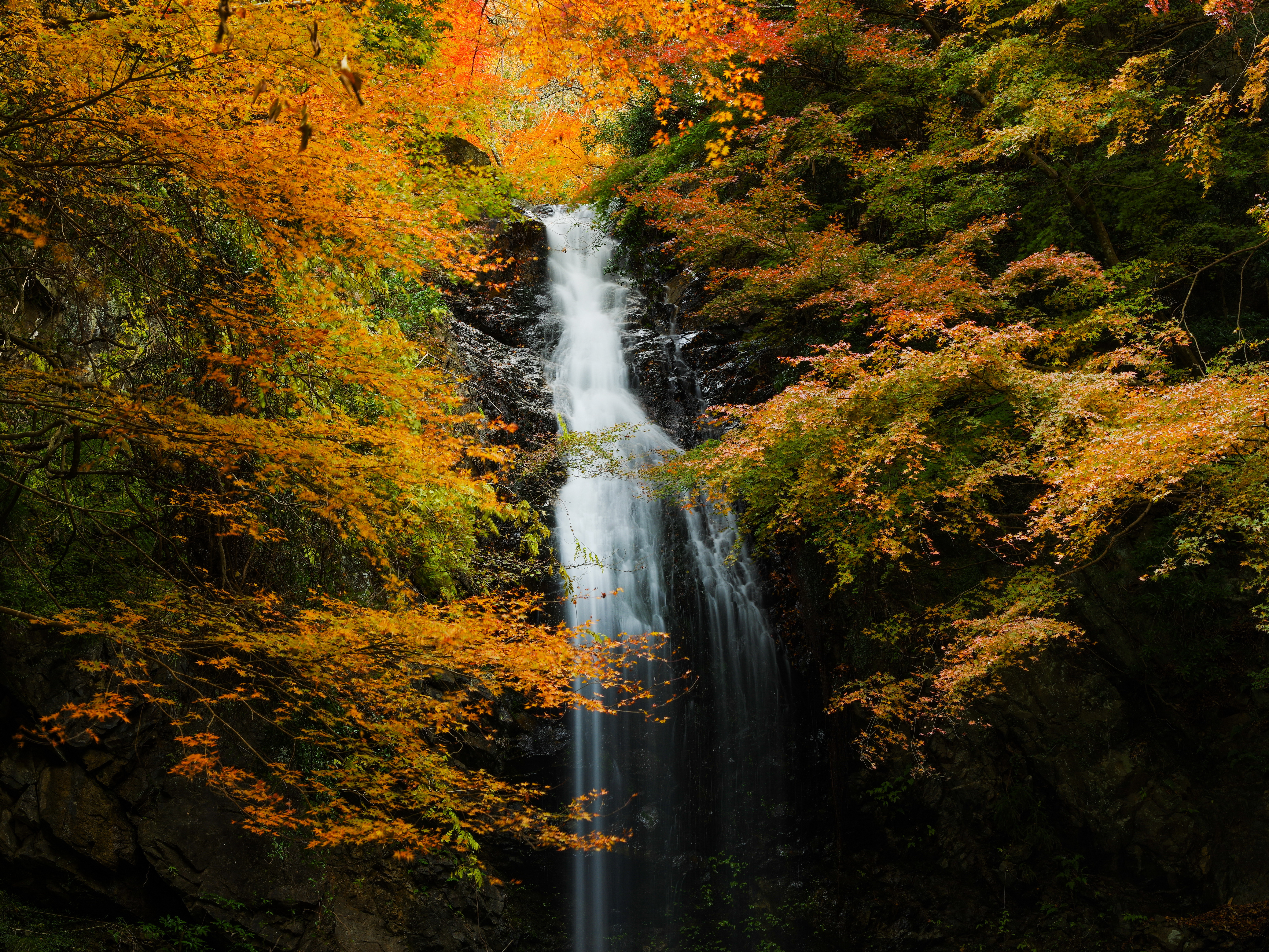 Скачать обои бесплатно Природа, Осень, Водопады, Водопад, Земля/природа картинка на рабочий стол ПК