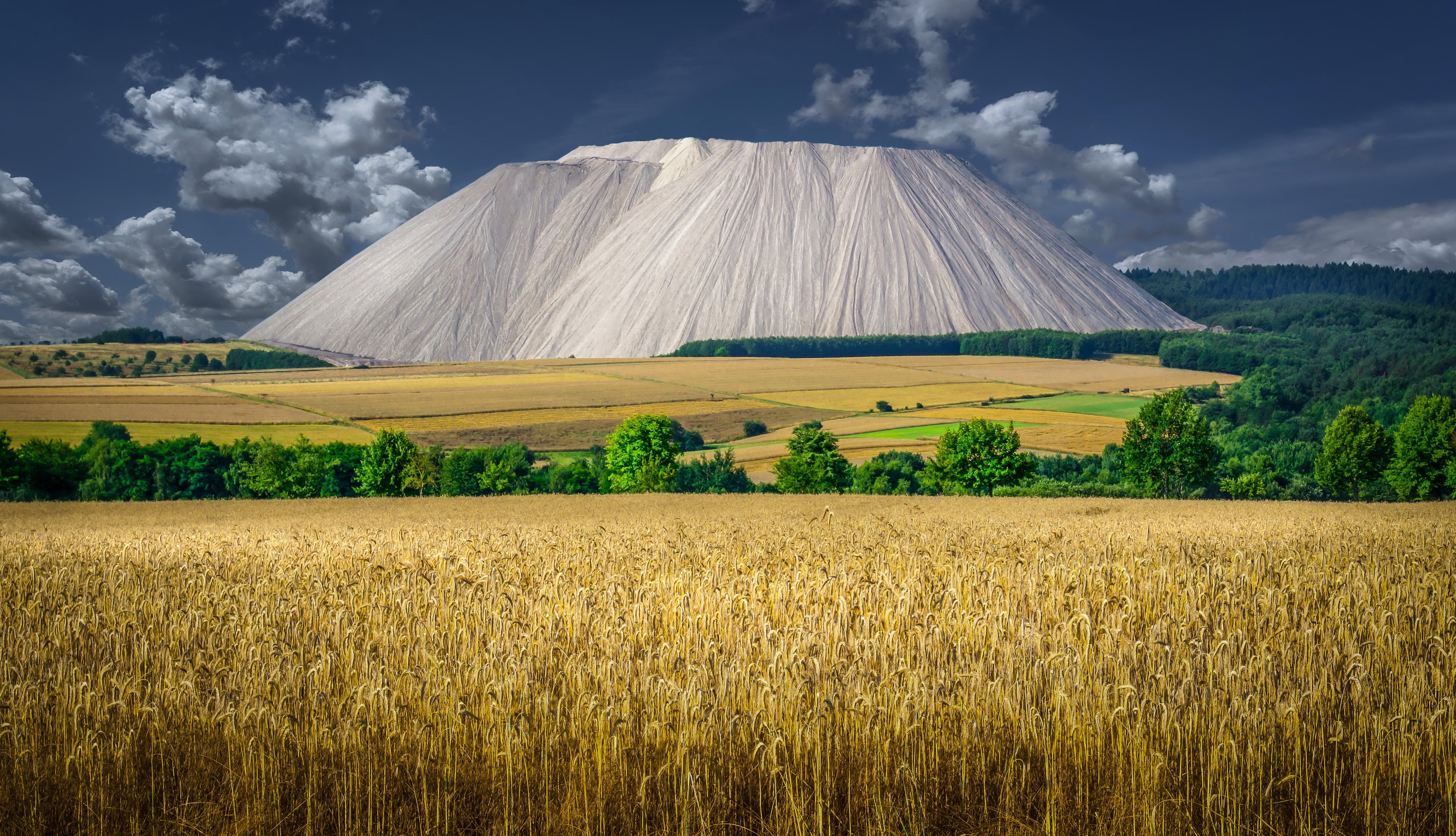 Free download wallpaper Wheat, Earth, Field, Germany on your PC desktop