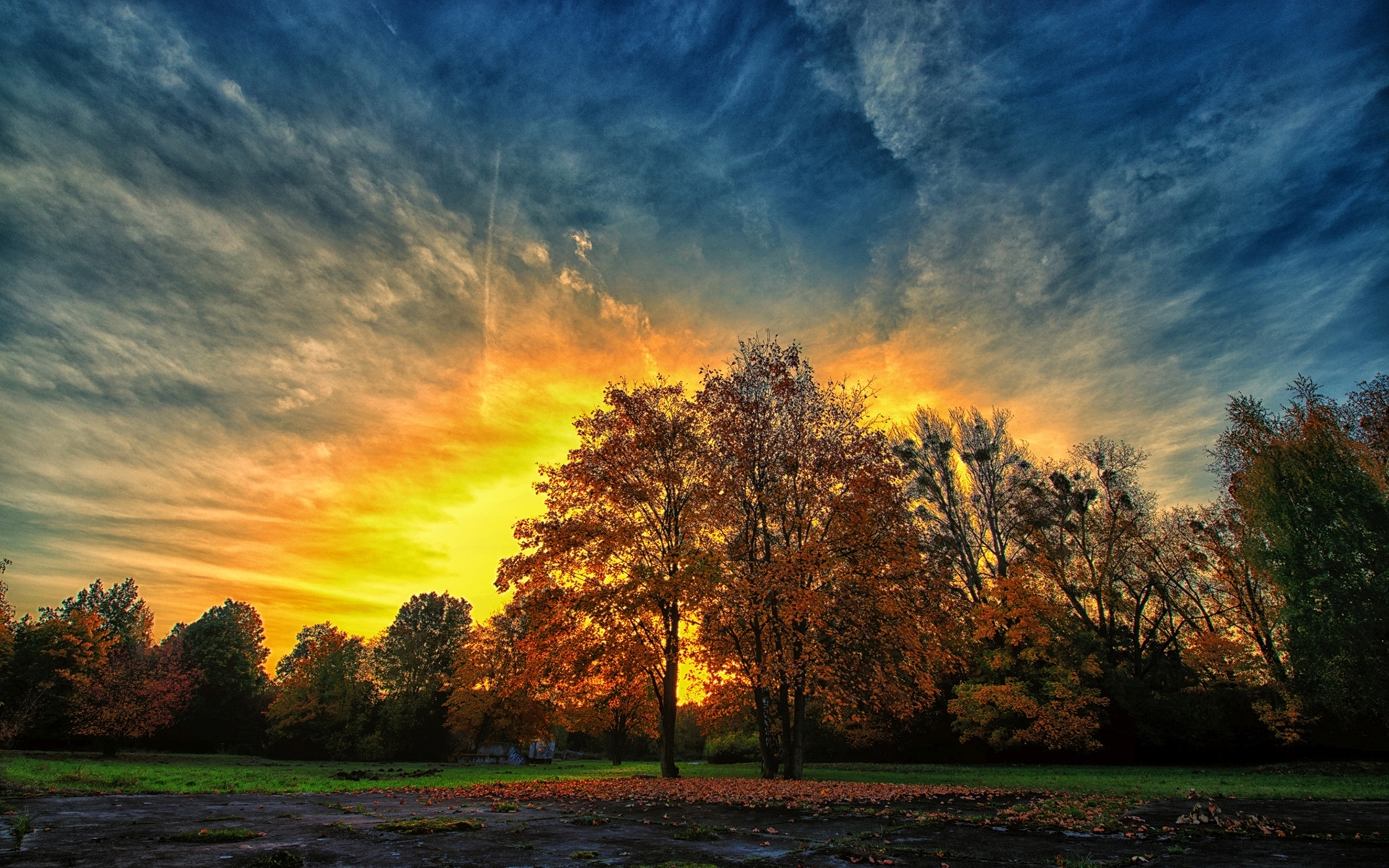 Скачать обои бесплатно Осень, Дерево, Земля/природа, Закат Солнца картинка на рабочий стол ПК
